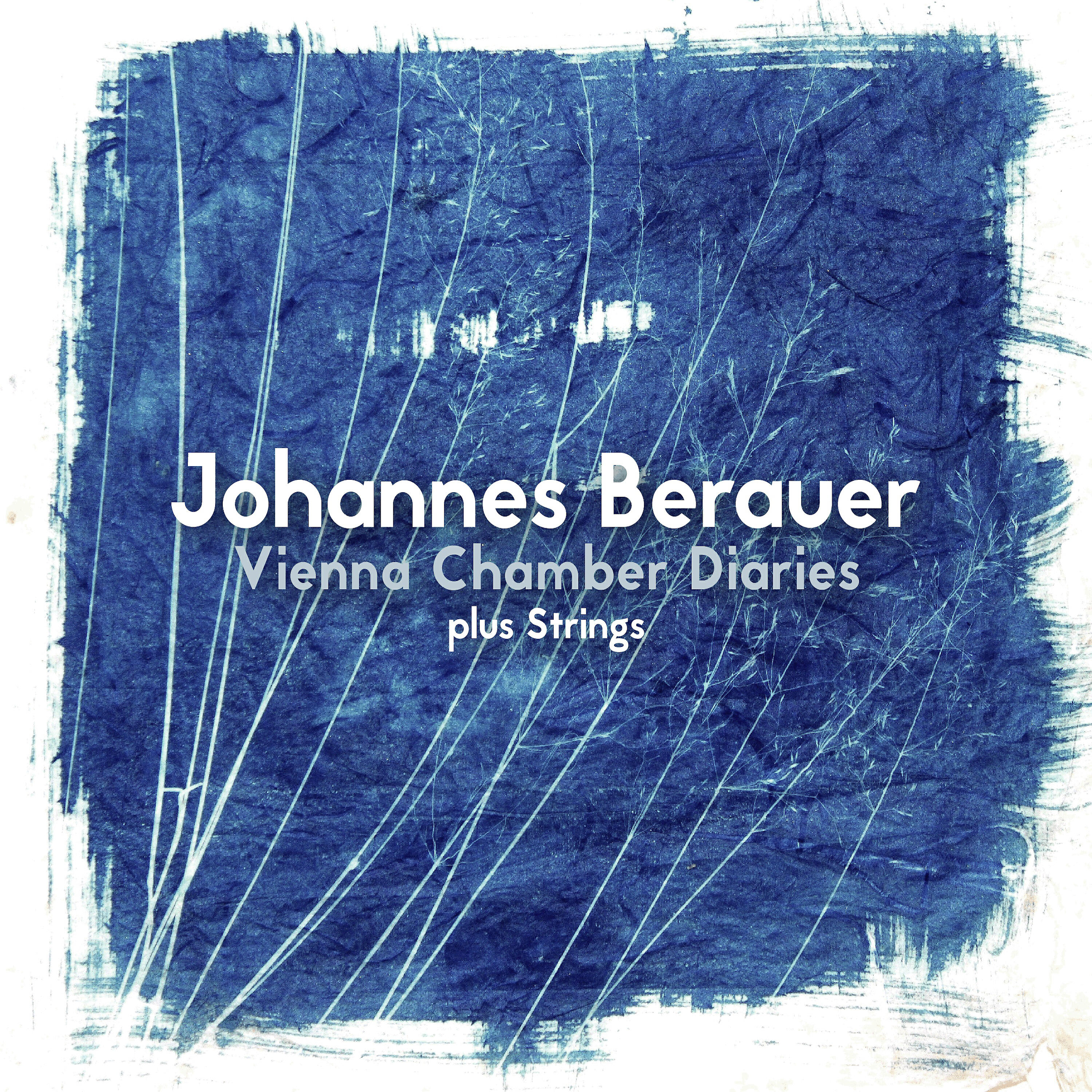 Johannes Berauer - Divertimento in Blue, Pt. 2