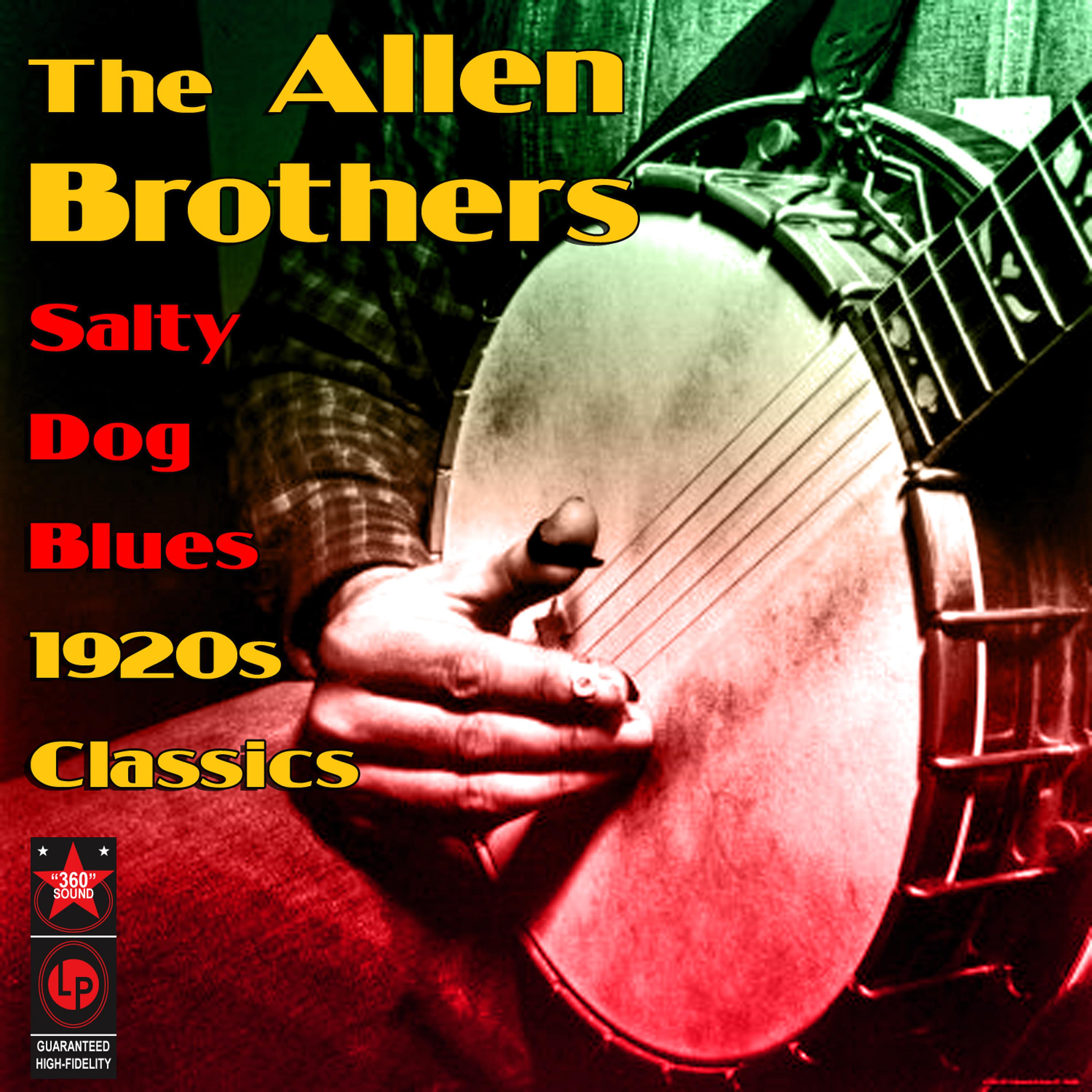 Постер альбома Salty Dog Blues - 1920s Classics