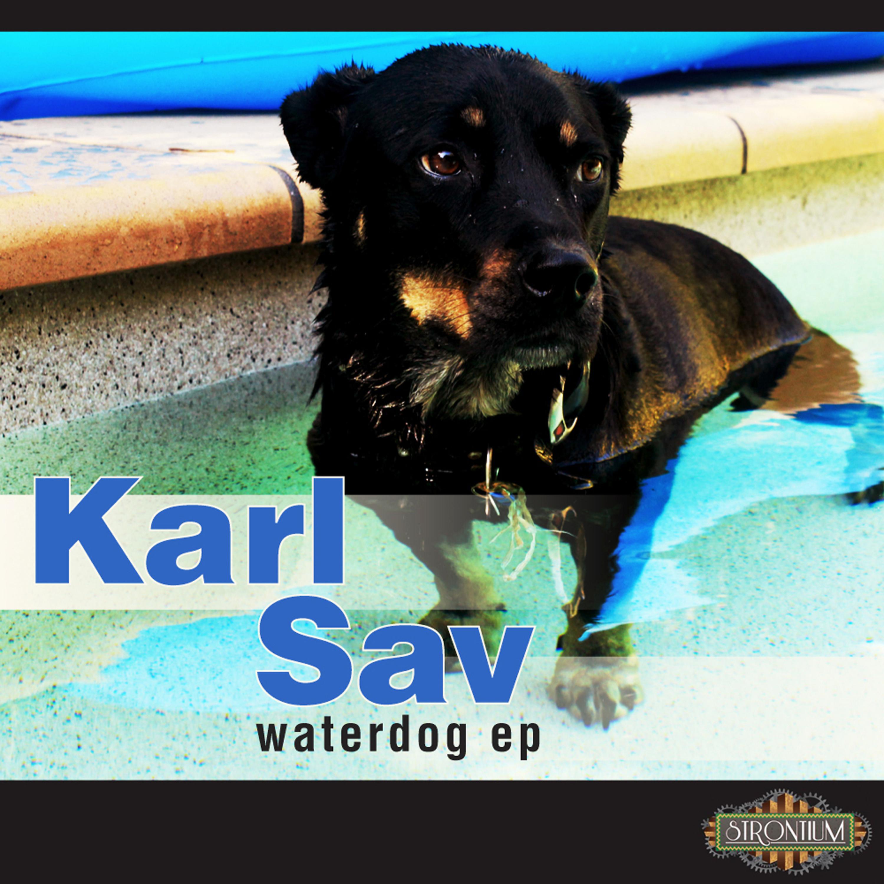 Постер альбома Waterdog EP