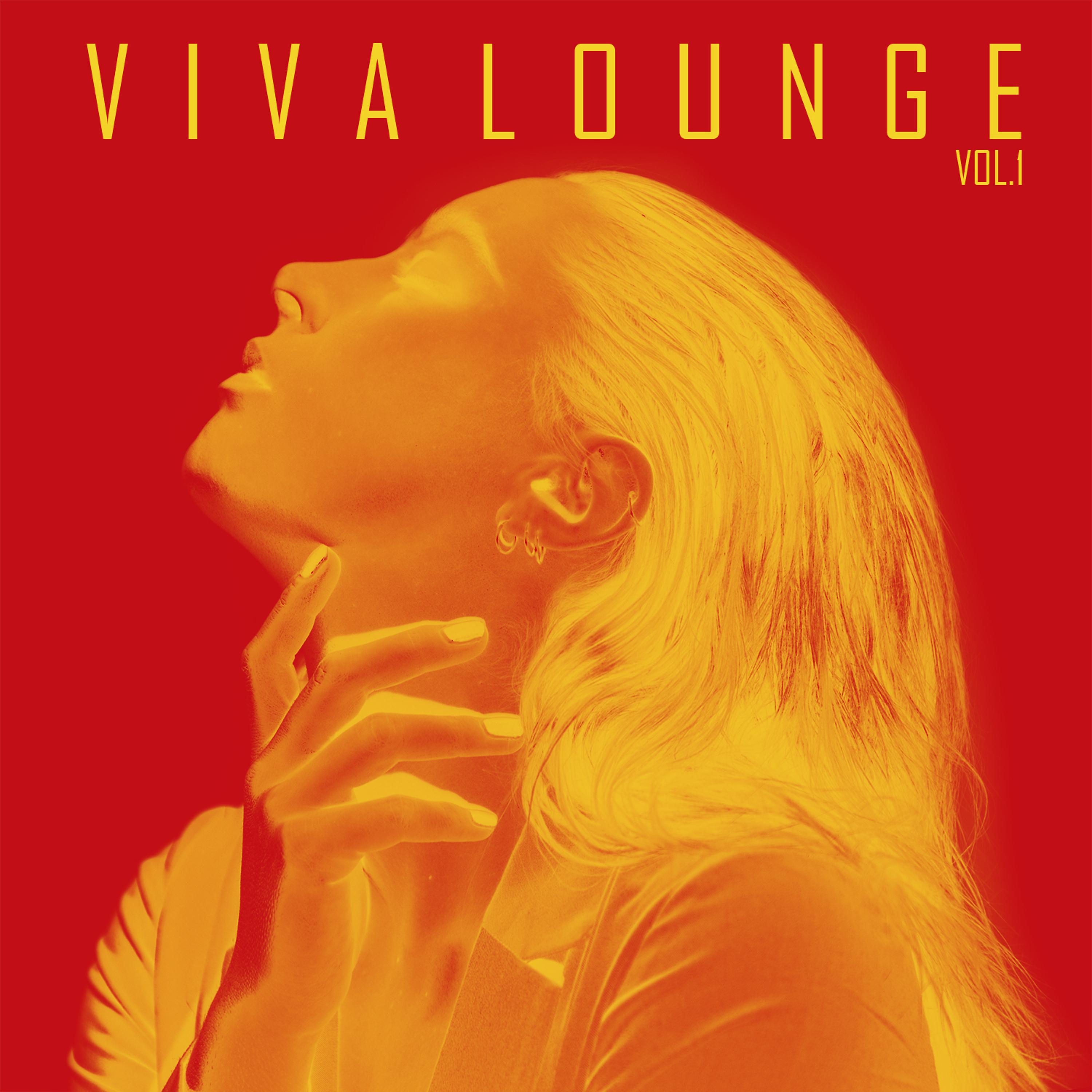 Постер альбома Viva Lounge, Vol.1 - Lounge & Smooth House Party Starters