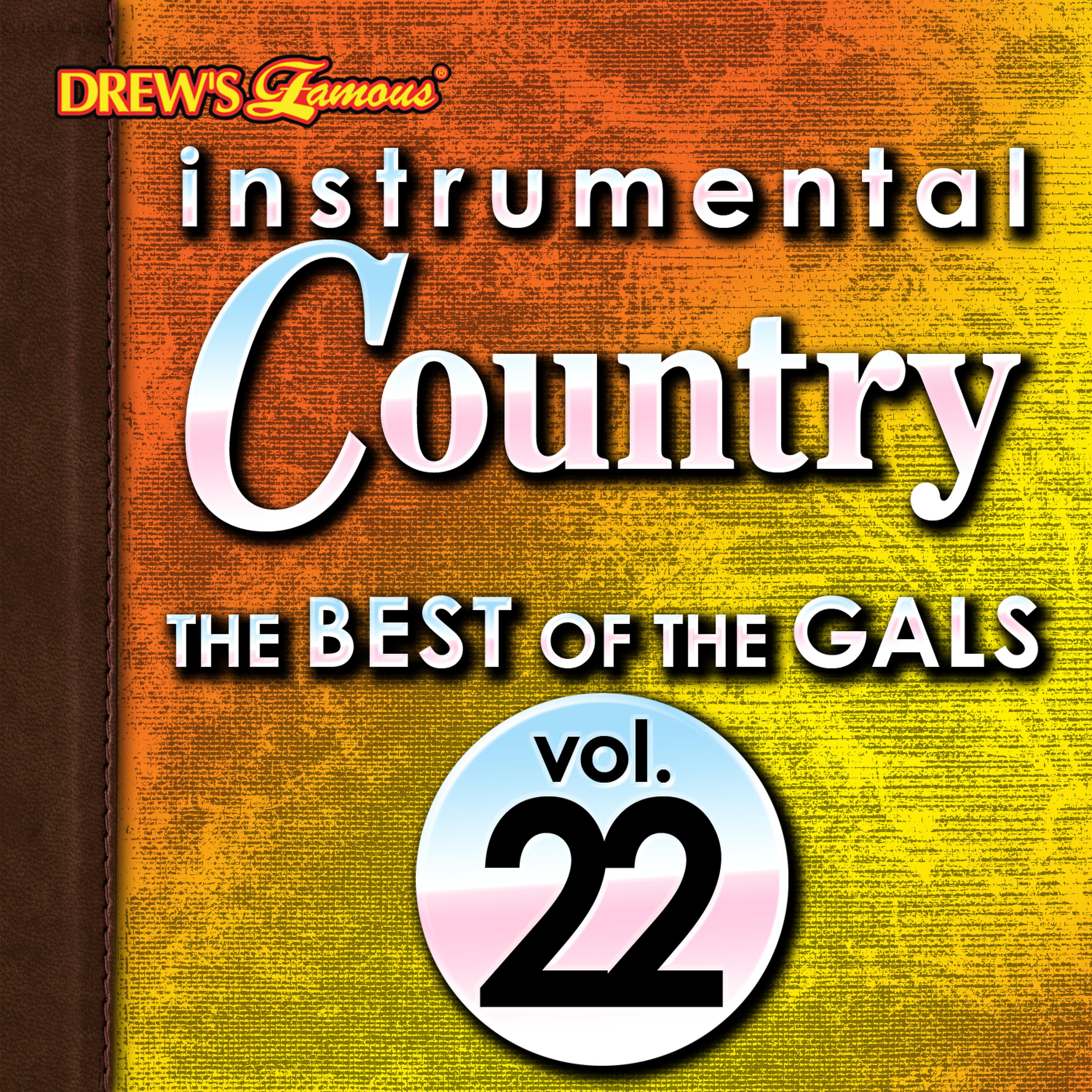 Постер альбома Instrumental Country: The Best of the Gals, Vol. 22