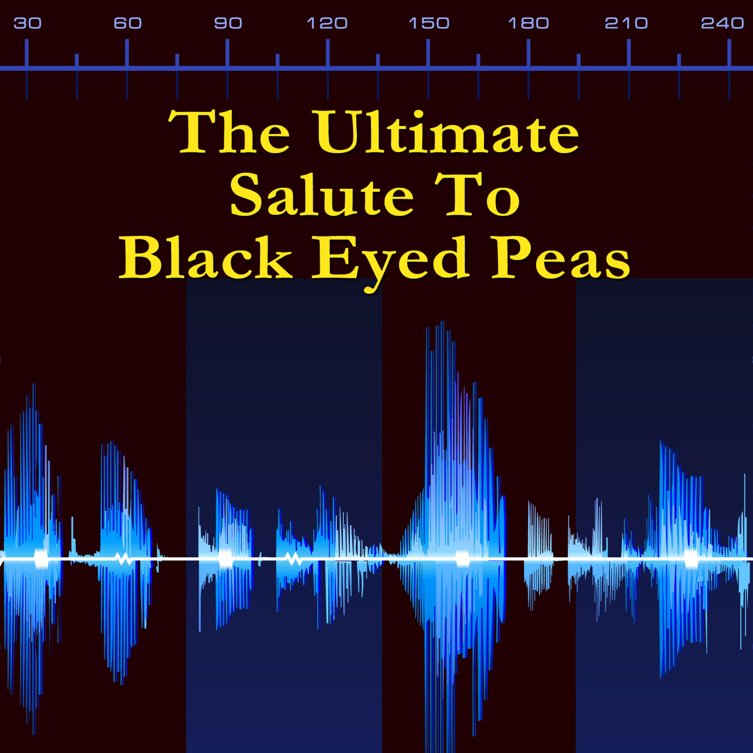 Постер альбома The Ultimate Salute To Black Eyed Peas