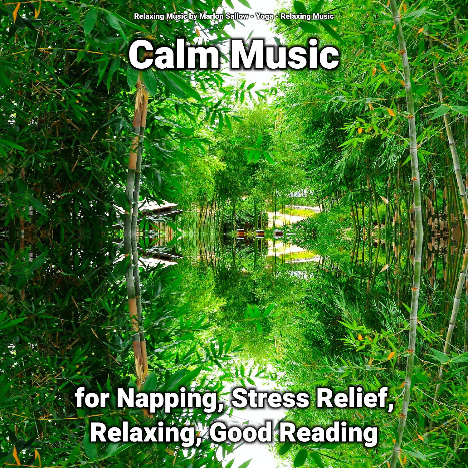 Постер альбома Calm Music for Napping, Stress Relief, Relaxing, Good Reading