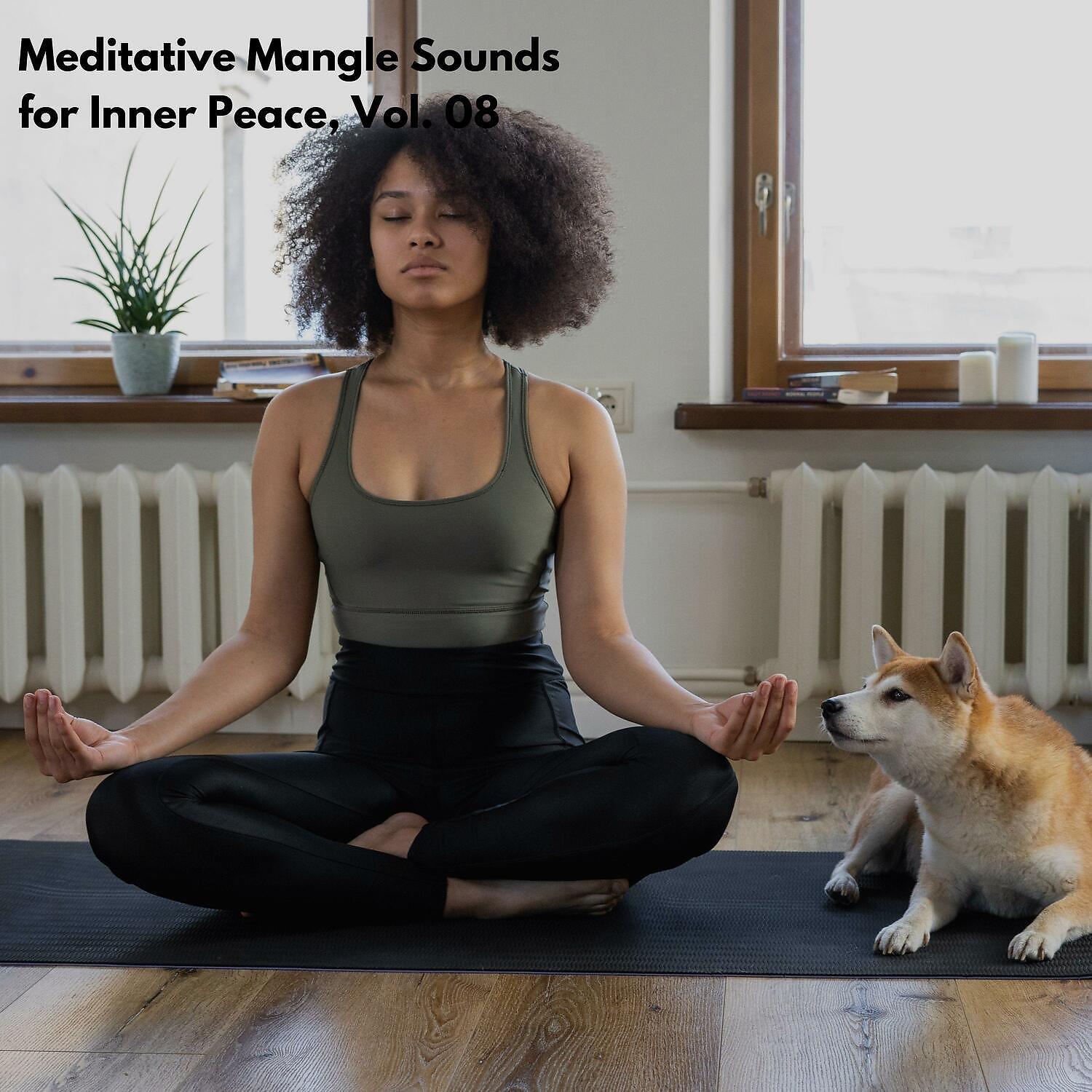 Постер альбома Meditative Mangle Sounds for Inner Peace, Vol. 08