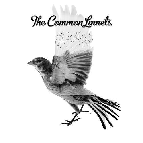The Common Linnets - Broken But Home