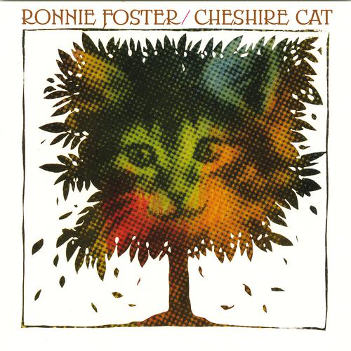 Постер альбома Cheshire Cat