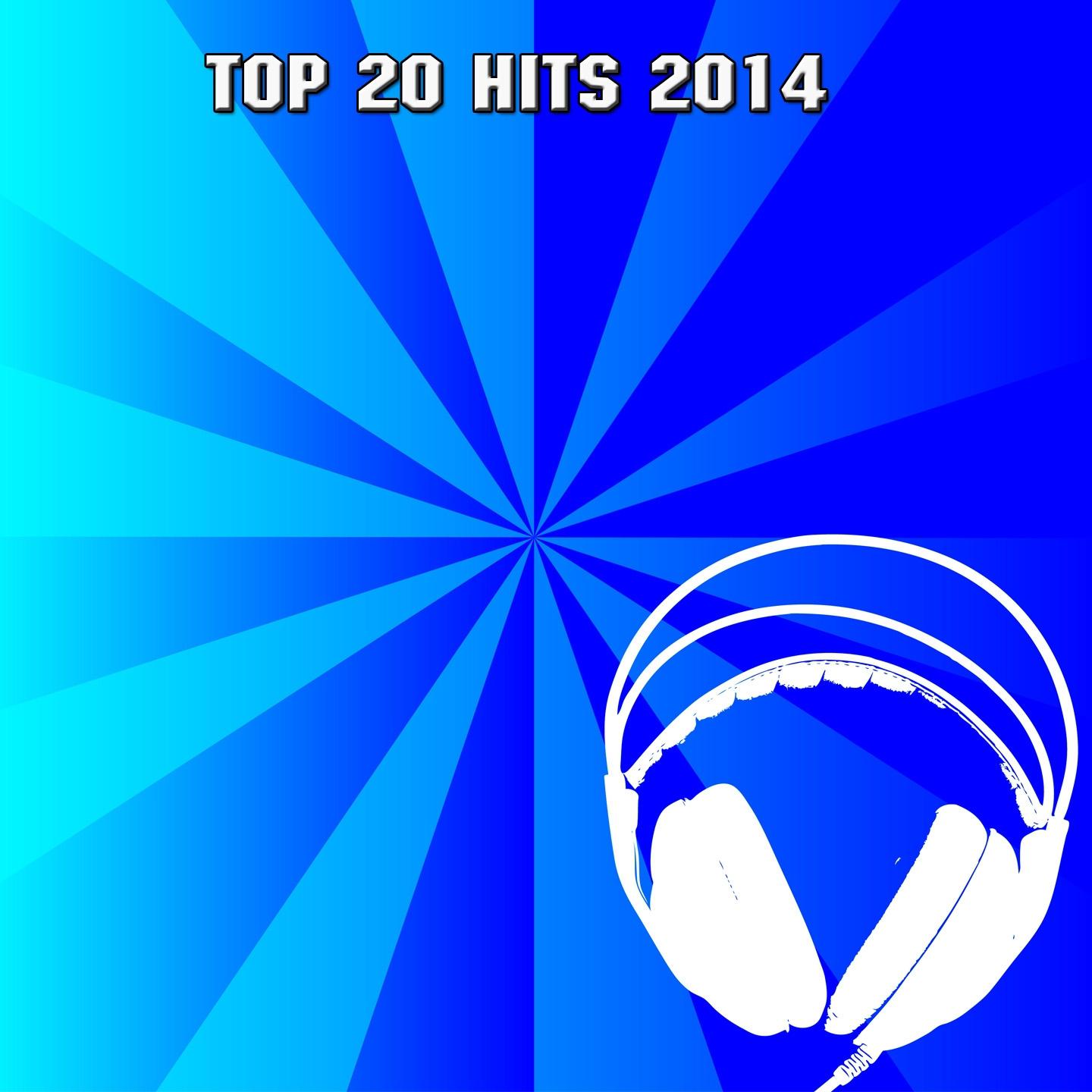 Постер альбома Top 20 Hits 2014