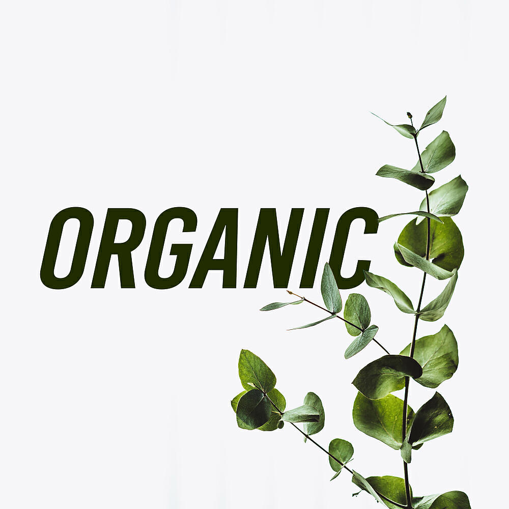 Sleep Sounds Of Nature - Brain Nutrition