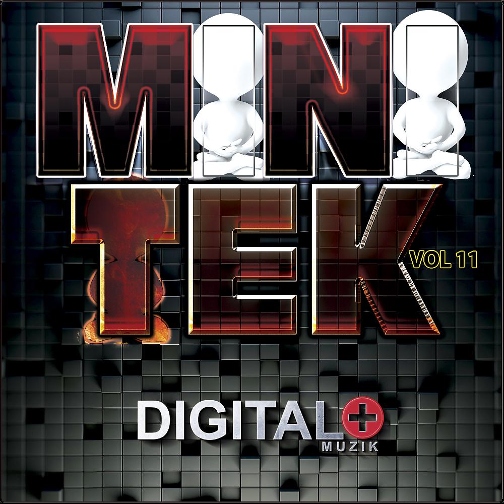Постер альбома Mini Tek Vol 11