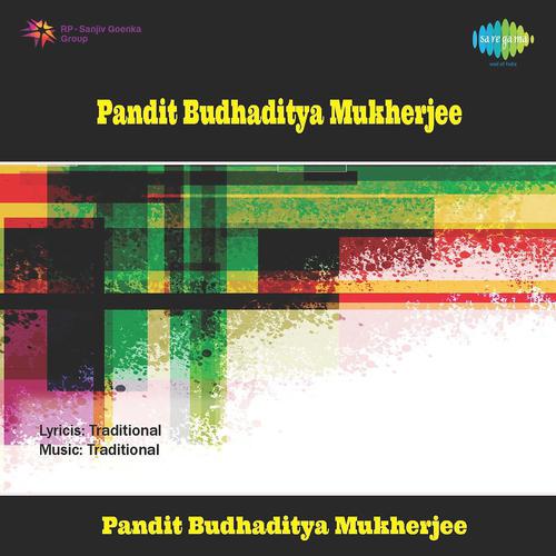 Постер альбома Pandit Budhaditya Mukherjee