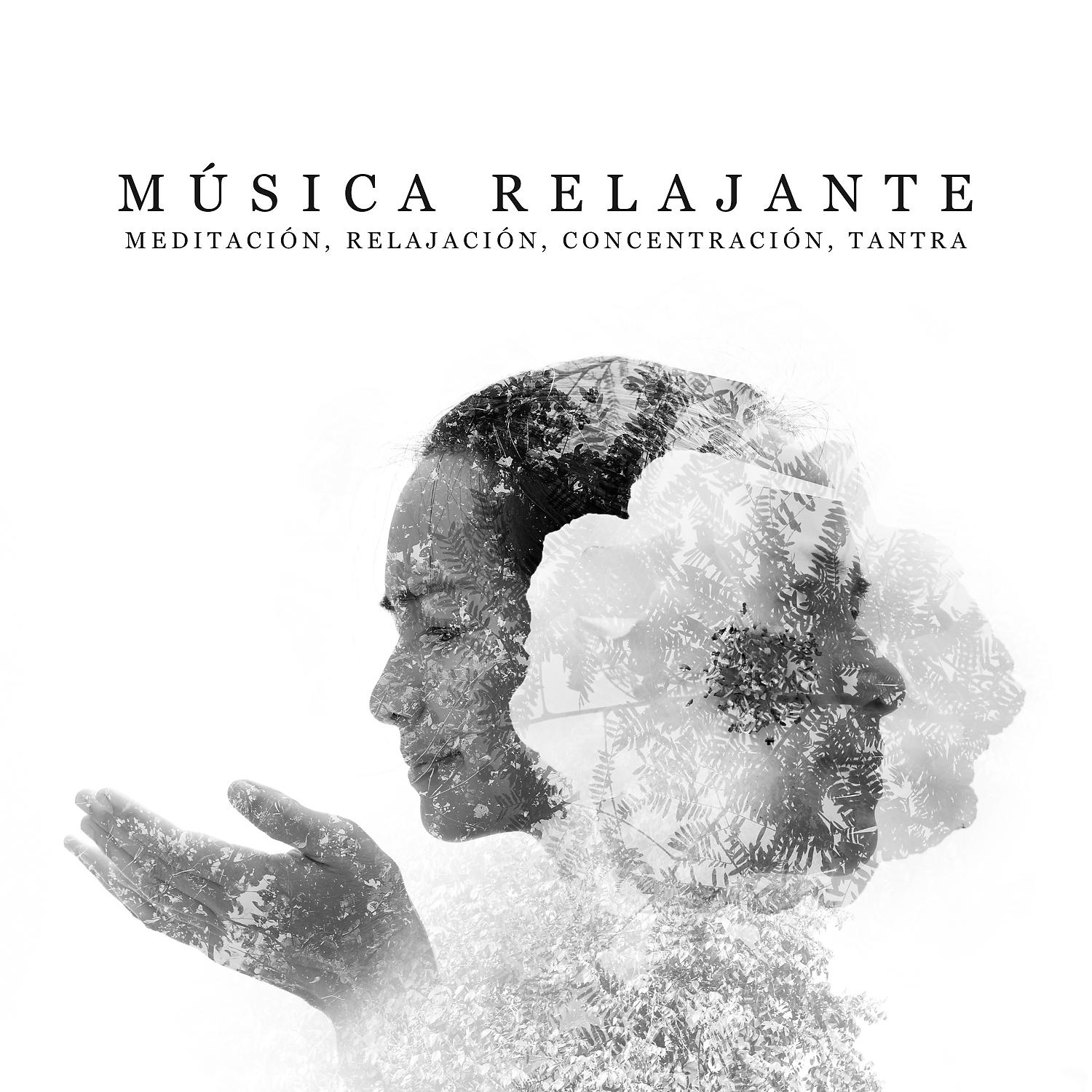 Постер альбома Música Relajante: Meditación, Relajación, Concentración, Tantra