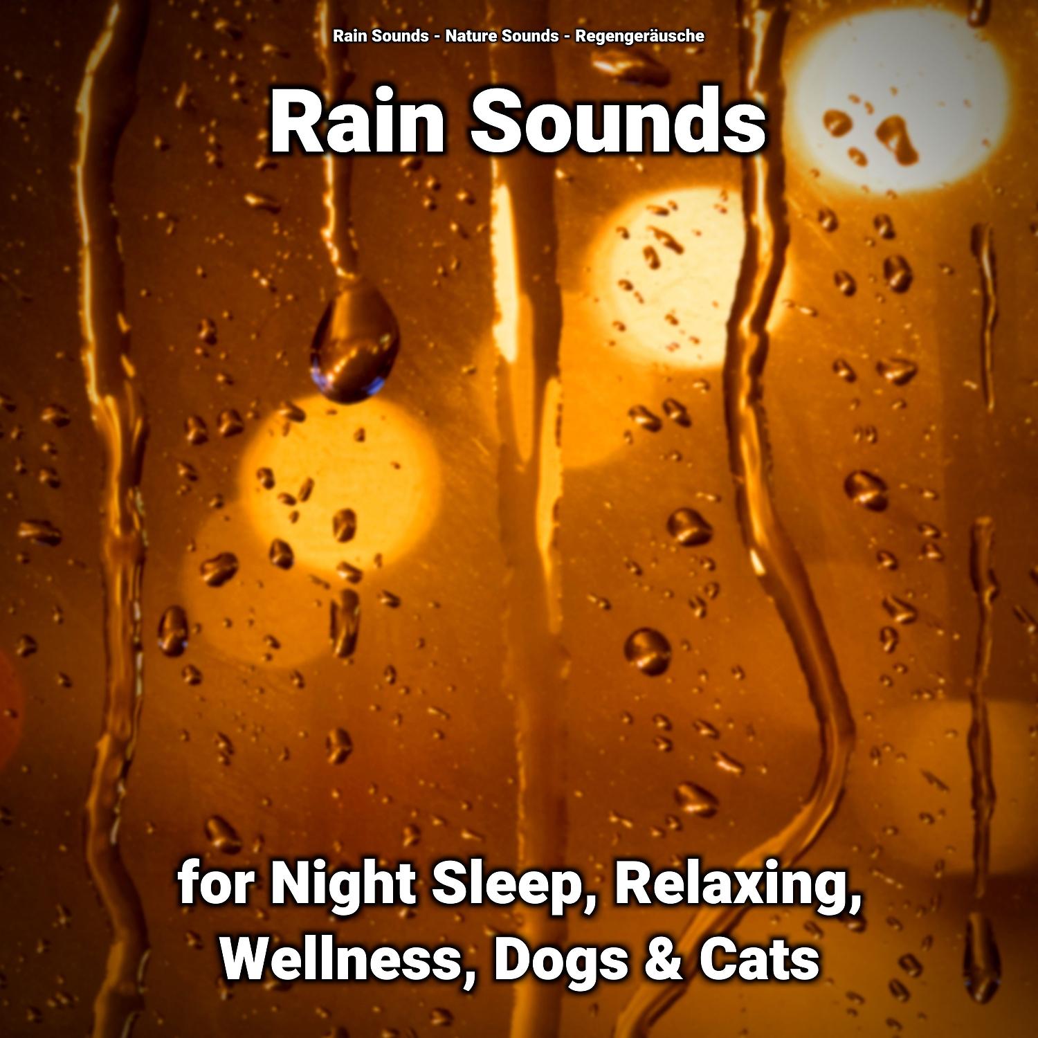 Постер альбома Rain Sounds for Night Sleep, Relaxing, Wellness, Dogs & Cats