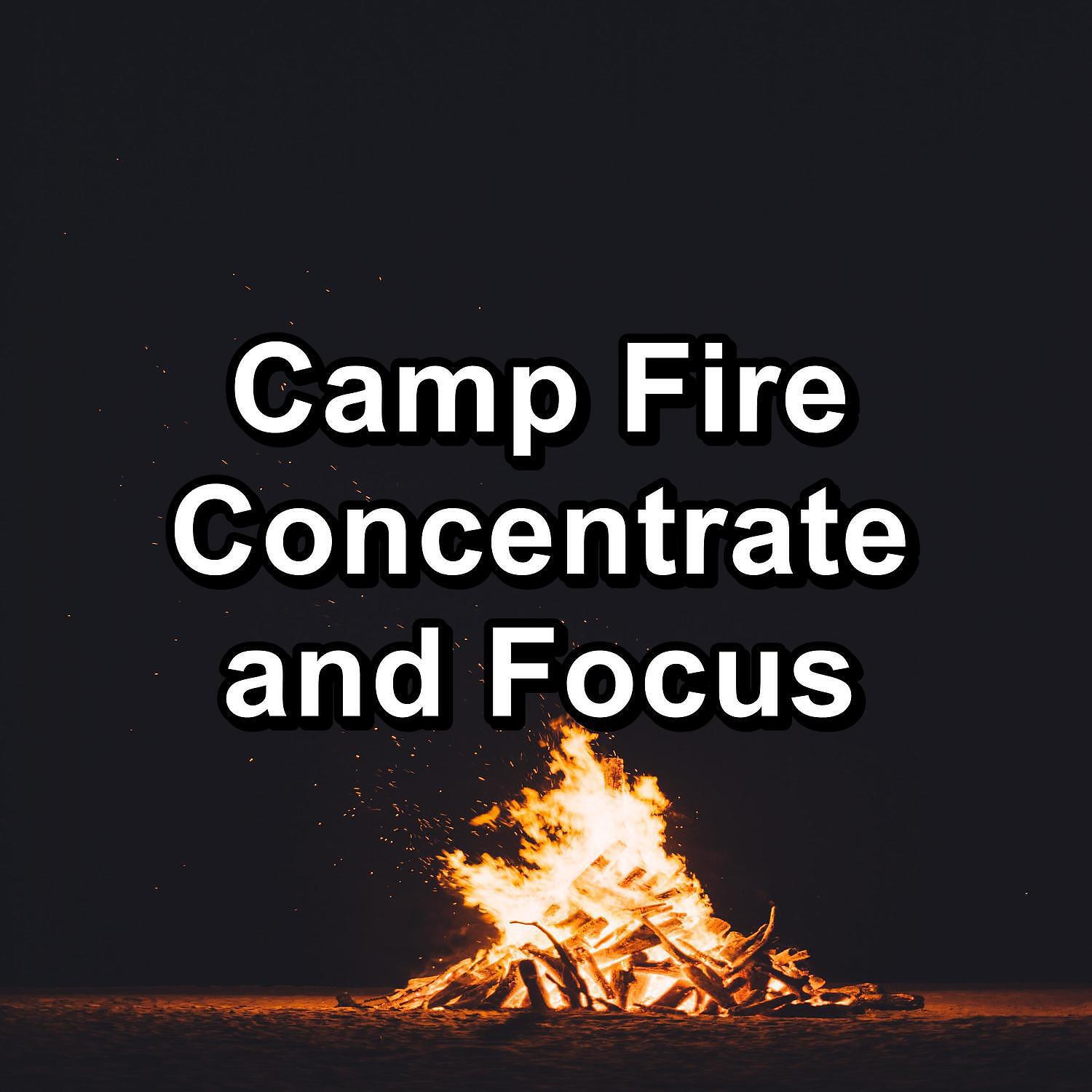 Spa Music Relaxation - The Campfire For Studying Deep Sleep for Babies