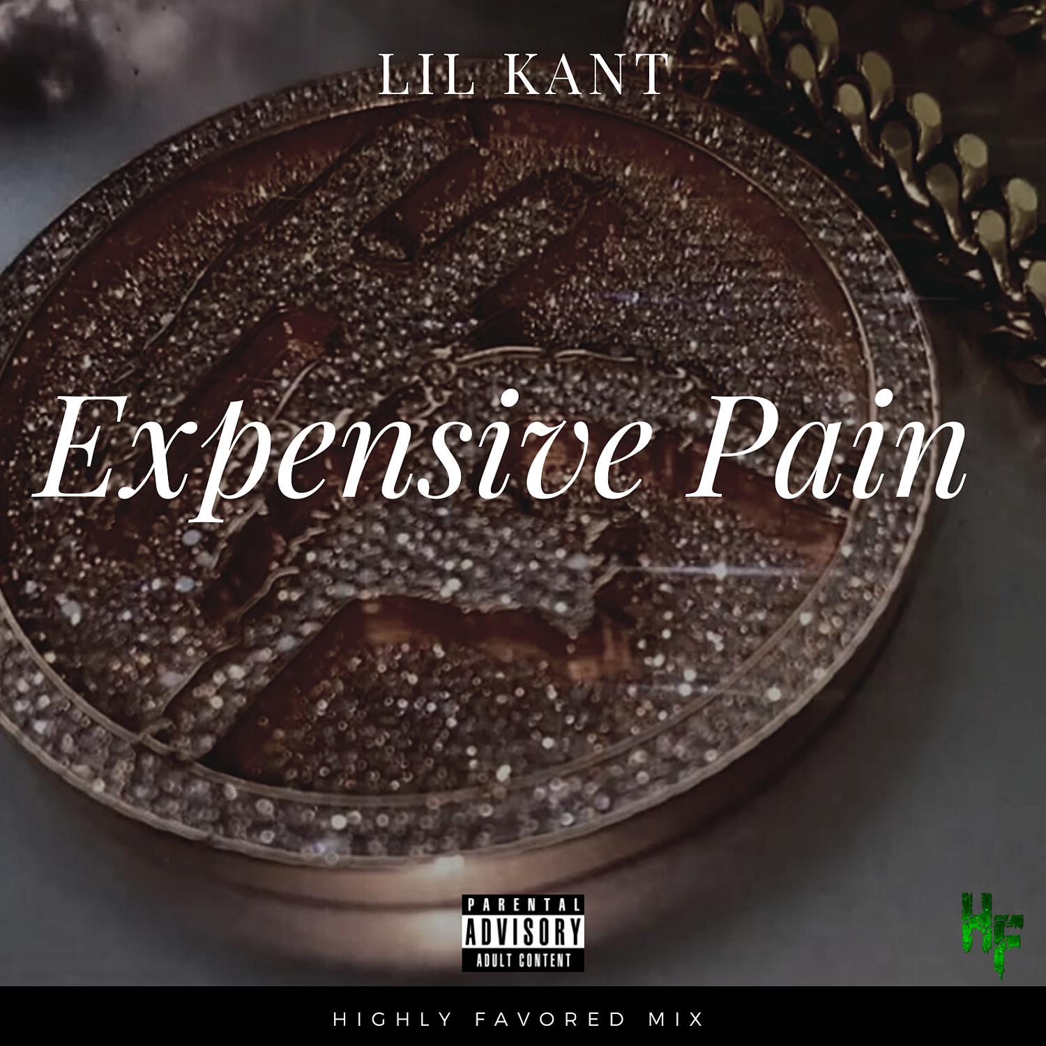Постер альбома Expensive Pain