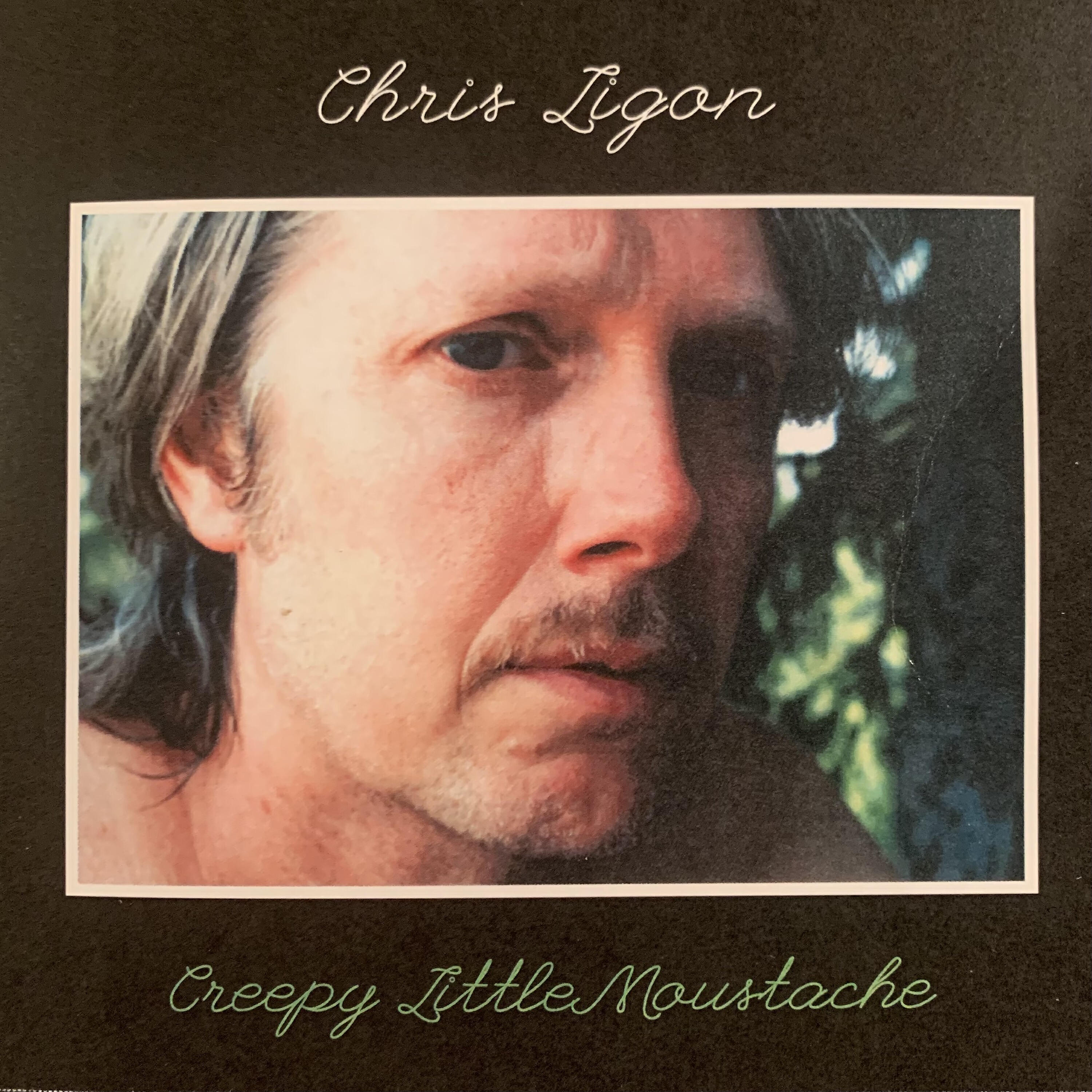Chris Ligon - Summer's Last Flutter
