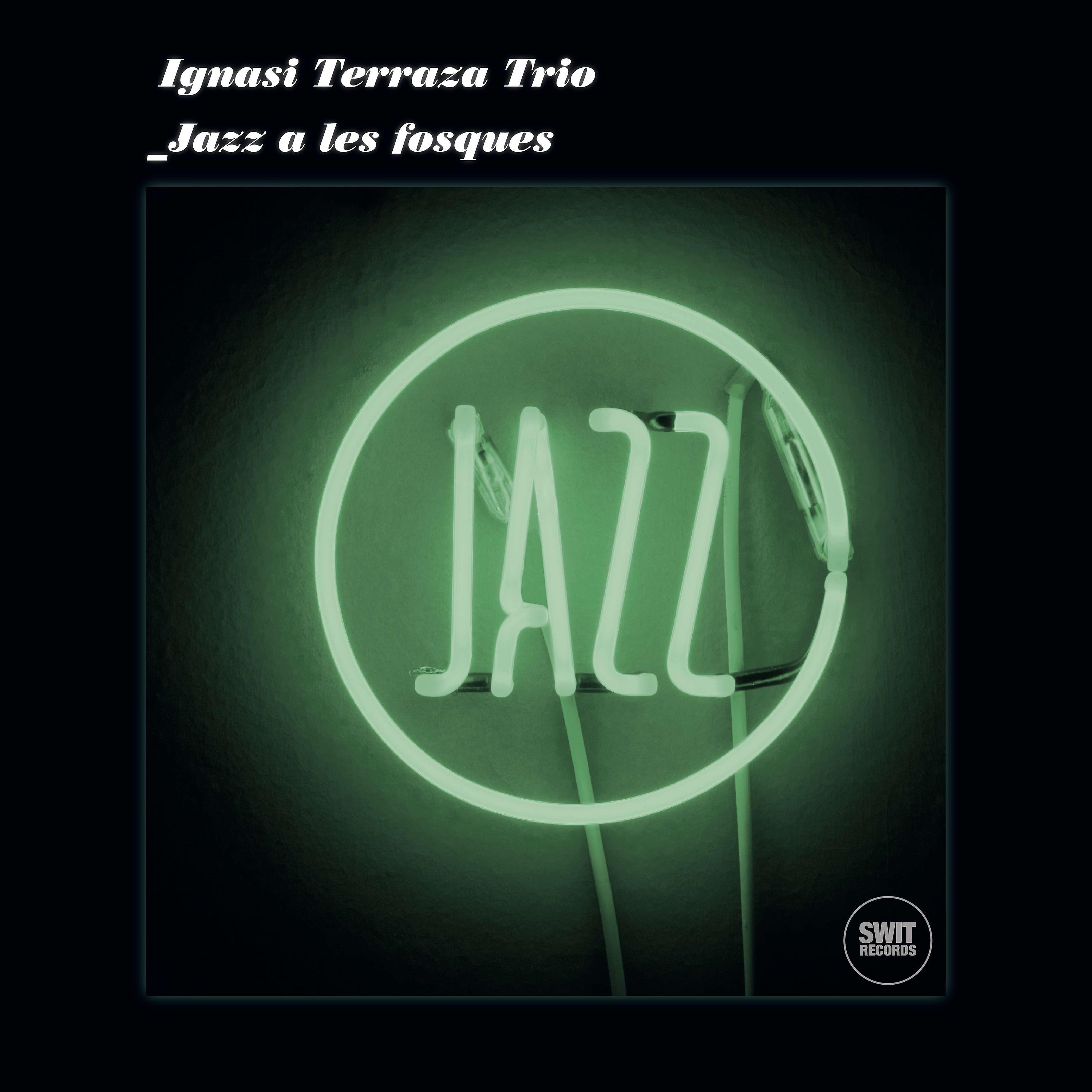 Постер альбома Jazz a Les Fosques II (Recorded January 2000)