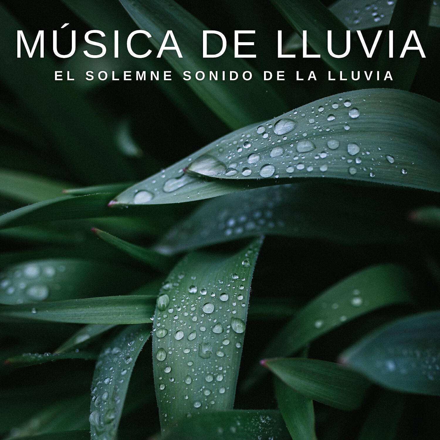 Lluvia Relajante - Lluvia Para Dormir