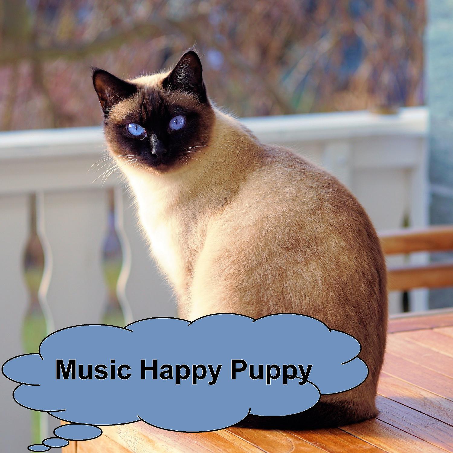 Постер альбома Music Happy Puppy