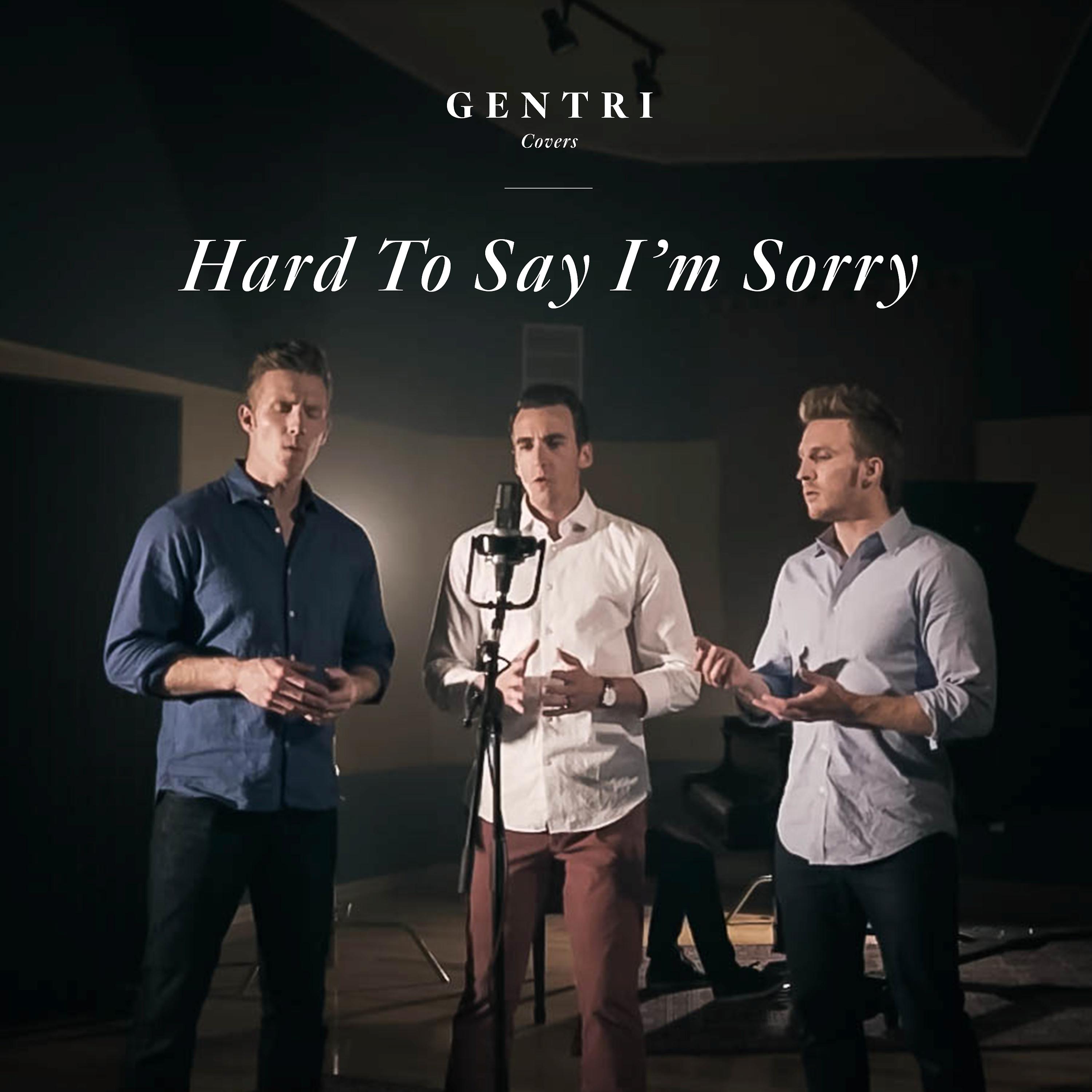 Постер альбома Hard to Say I’m Sorry