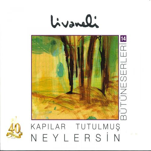 Постер альбома Bütüneserleri, Vol. 14