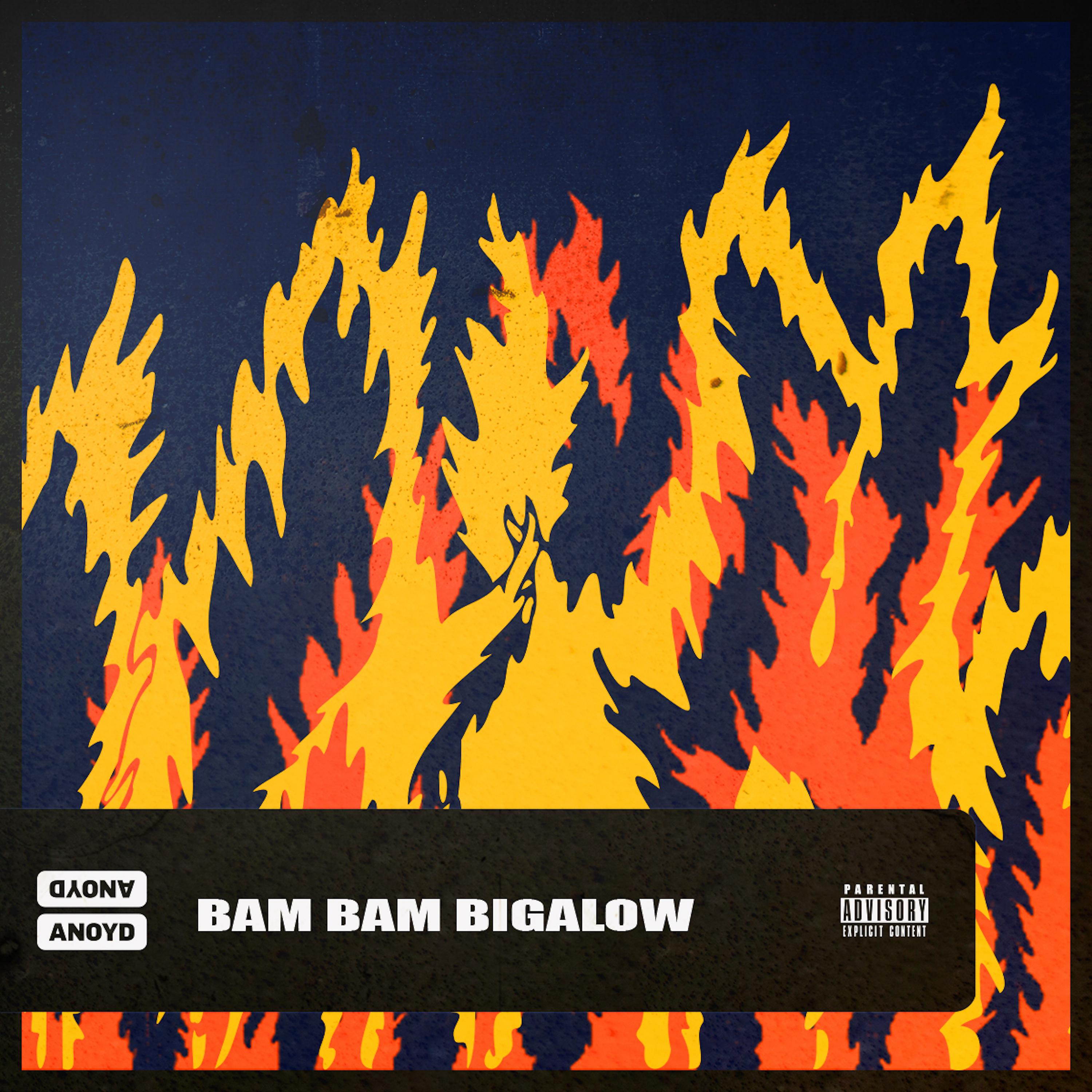 Постер альбома Bam Bam Bigelow
