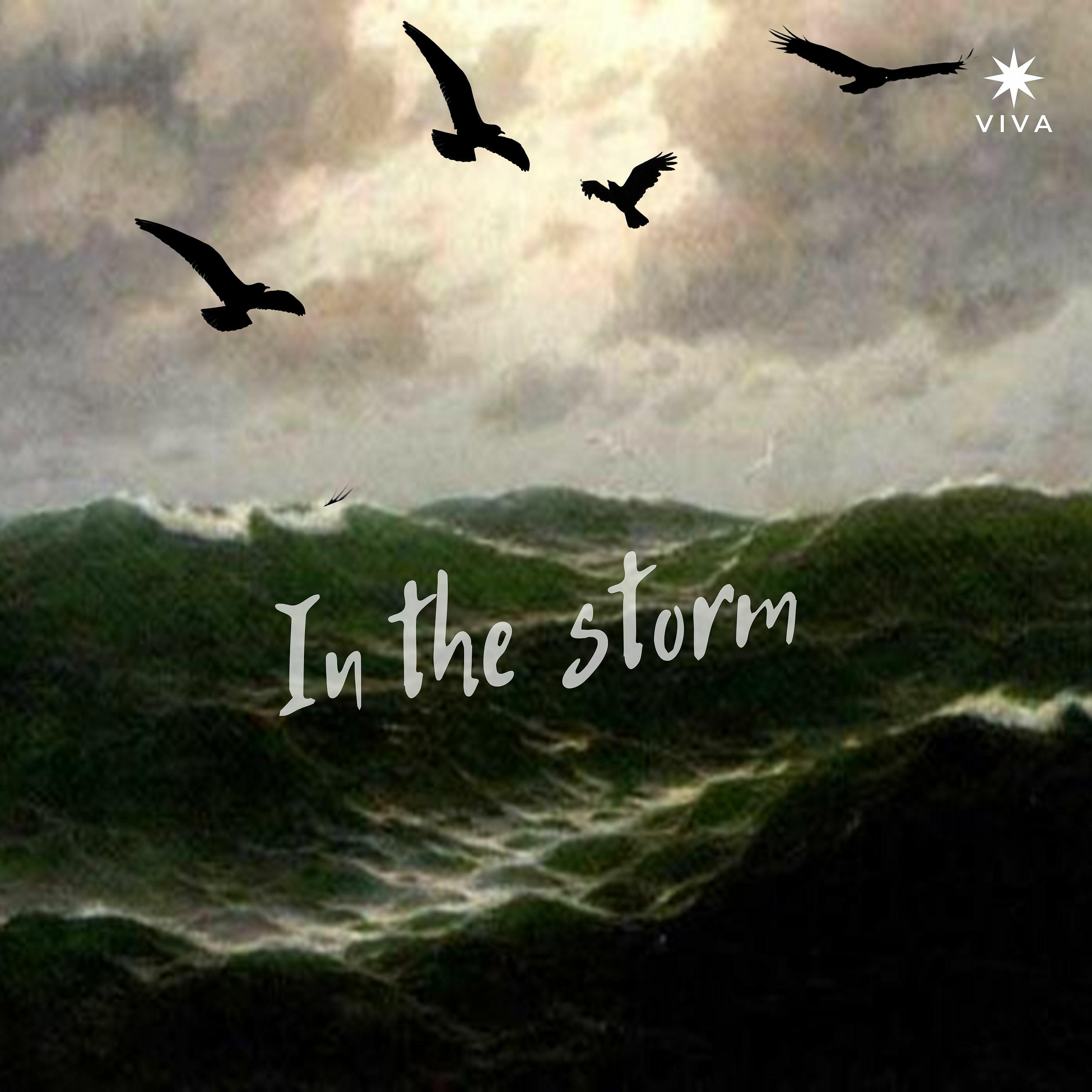 Постер альбома In the Storm