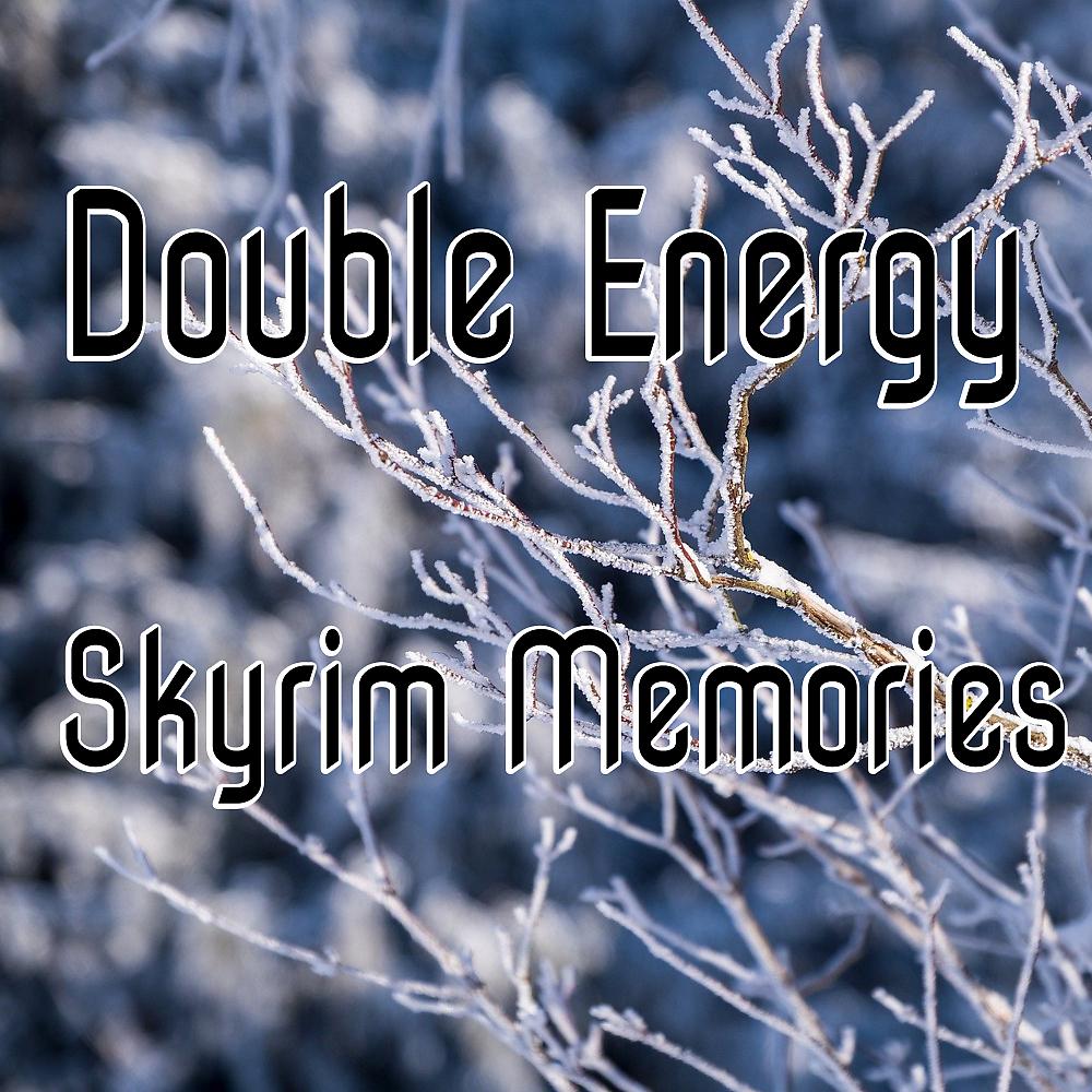 Постер альбома Skyrim Memories