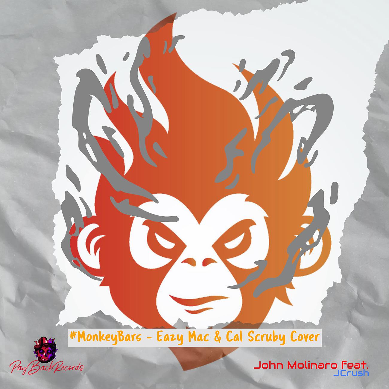 Постер альбома #Monkeybars