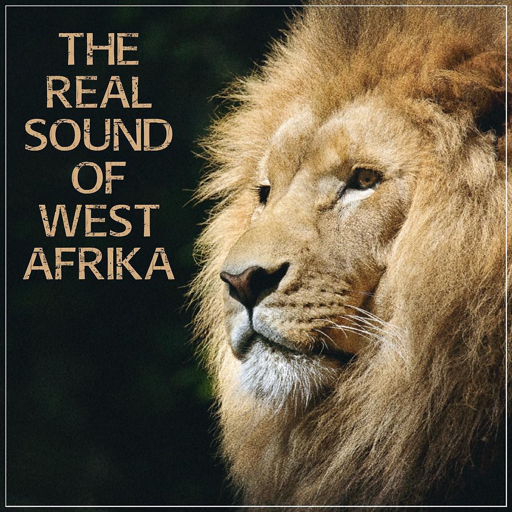 Постер альбома The Real Sound of West Afrika