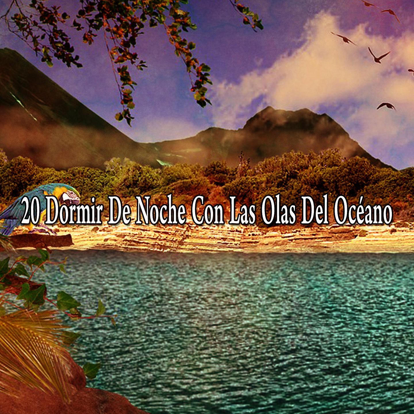 Постер альбома 20 Сон ночью с волнами океана