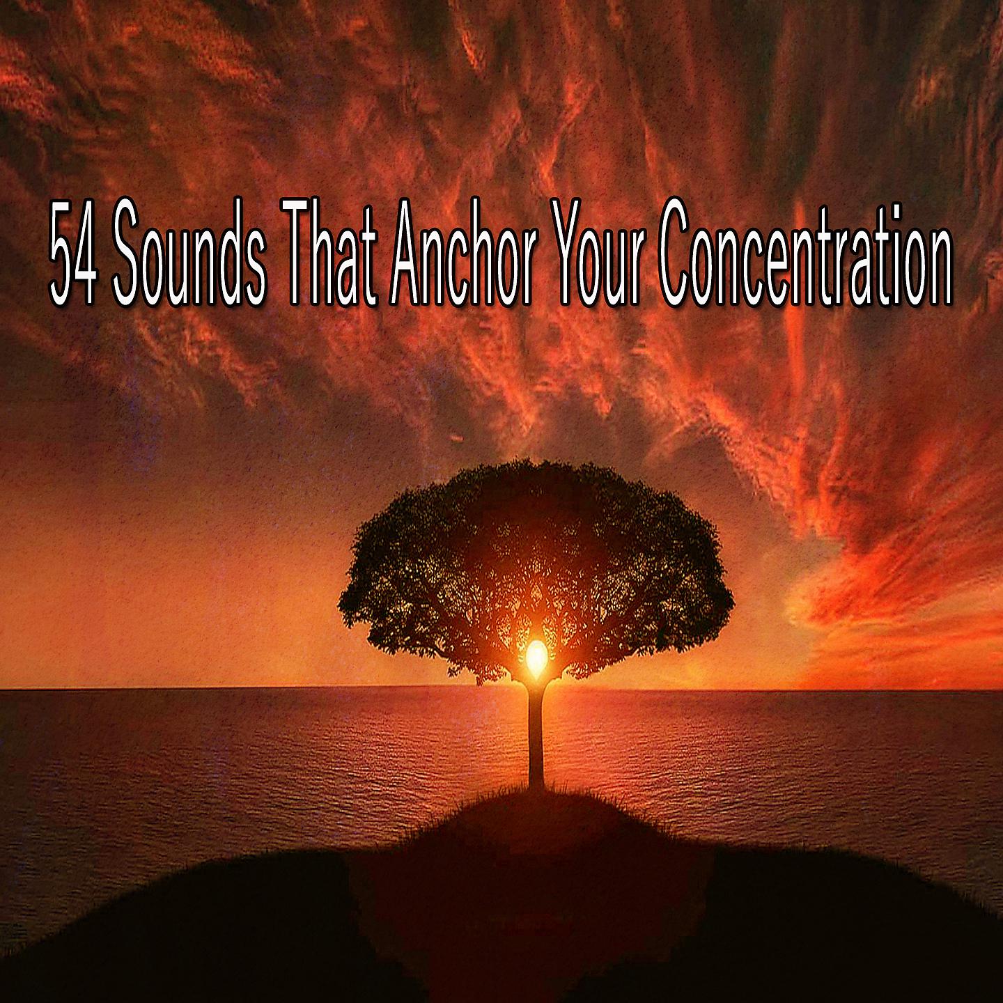 Постер альбома 54 звука, которые укрепляют вашу концентрацию
