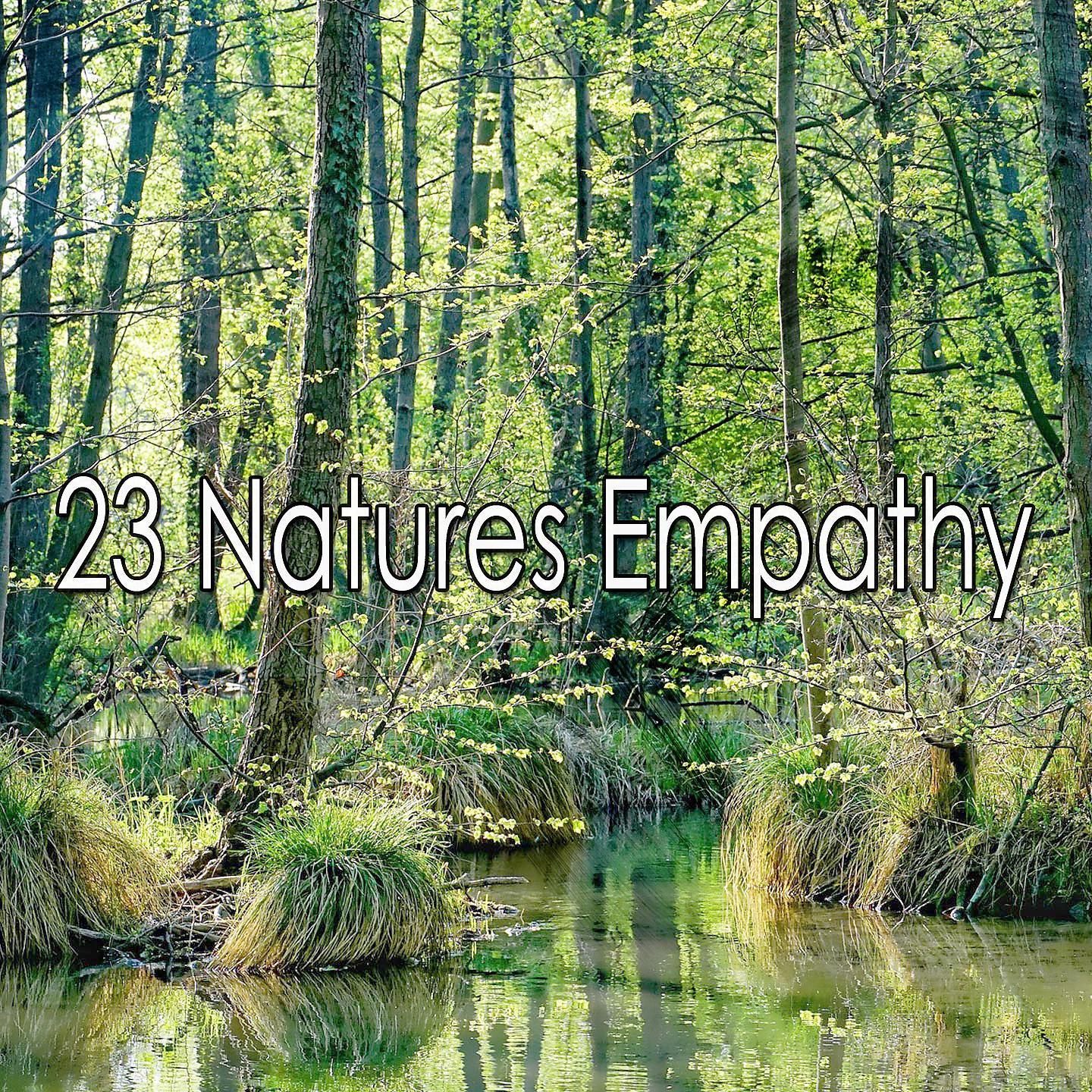 Постер альбома 23 Сочувствие Природы