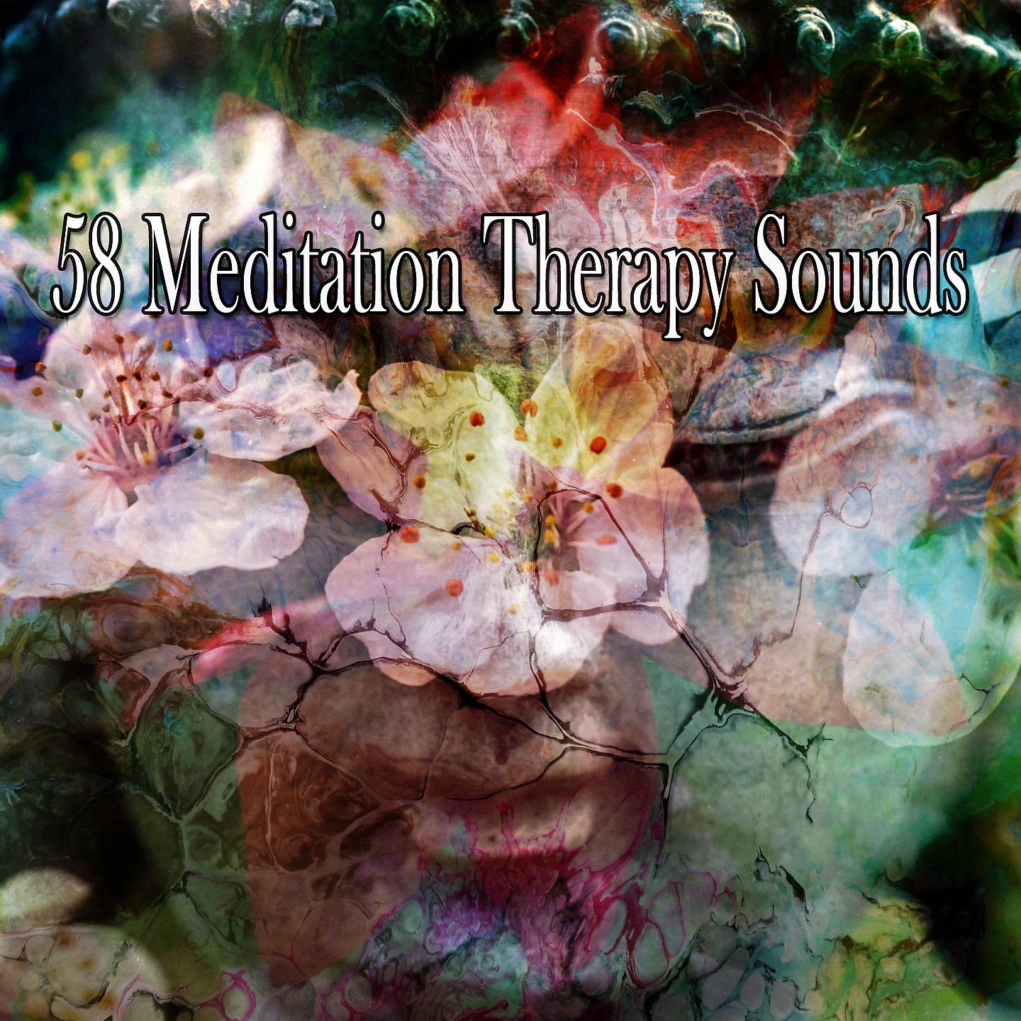 Постер альбома 58 звуков медитационной терапии
