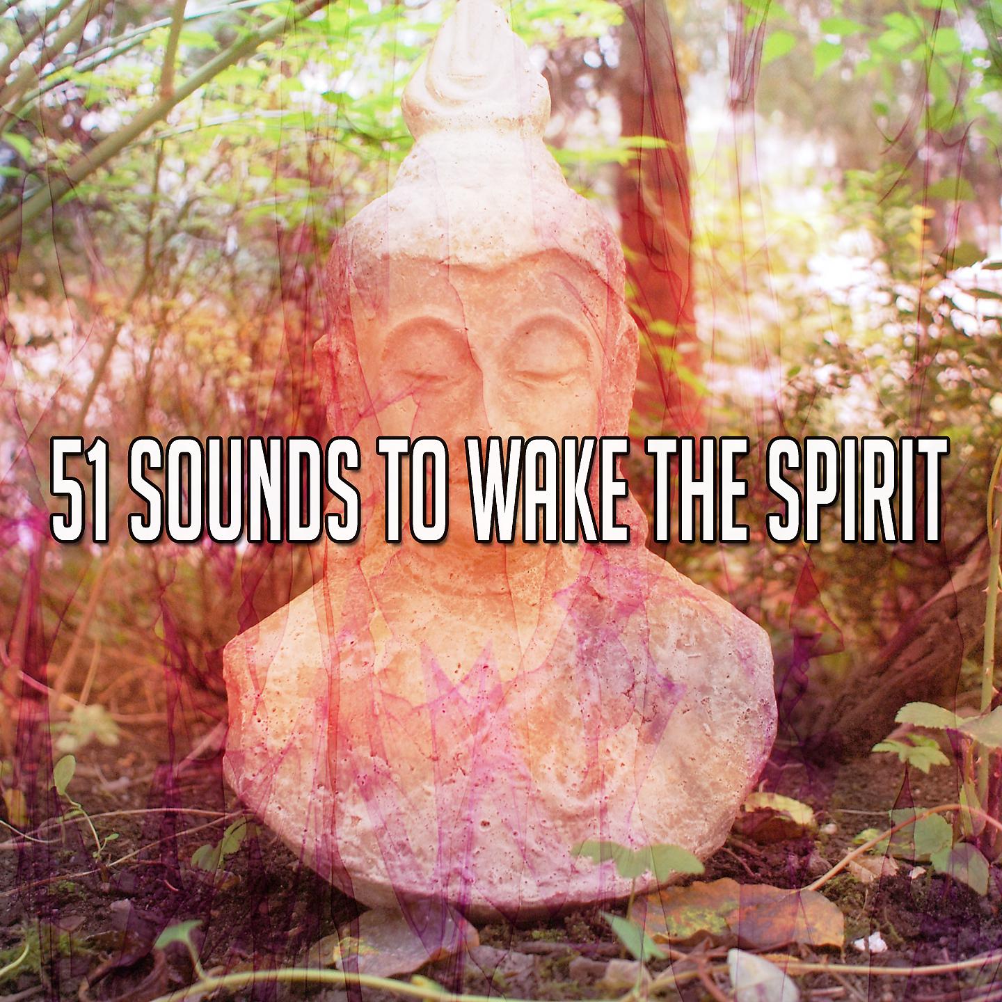 Постер альбома 51 звук для пробуждения духа