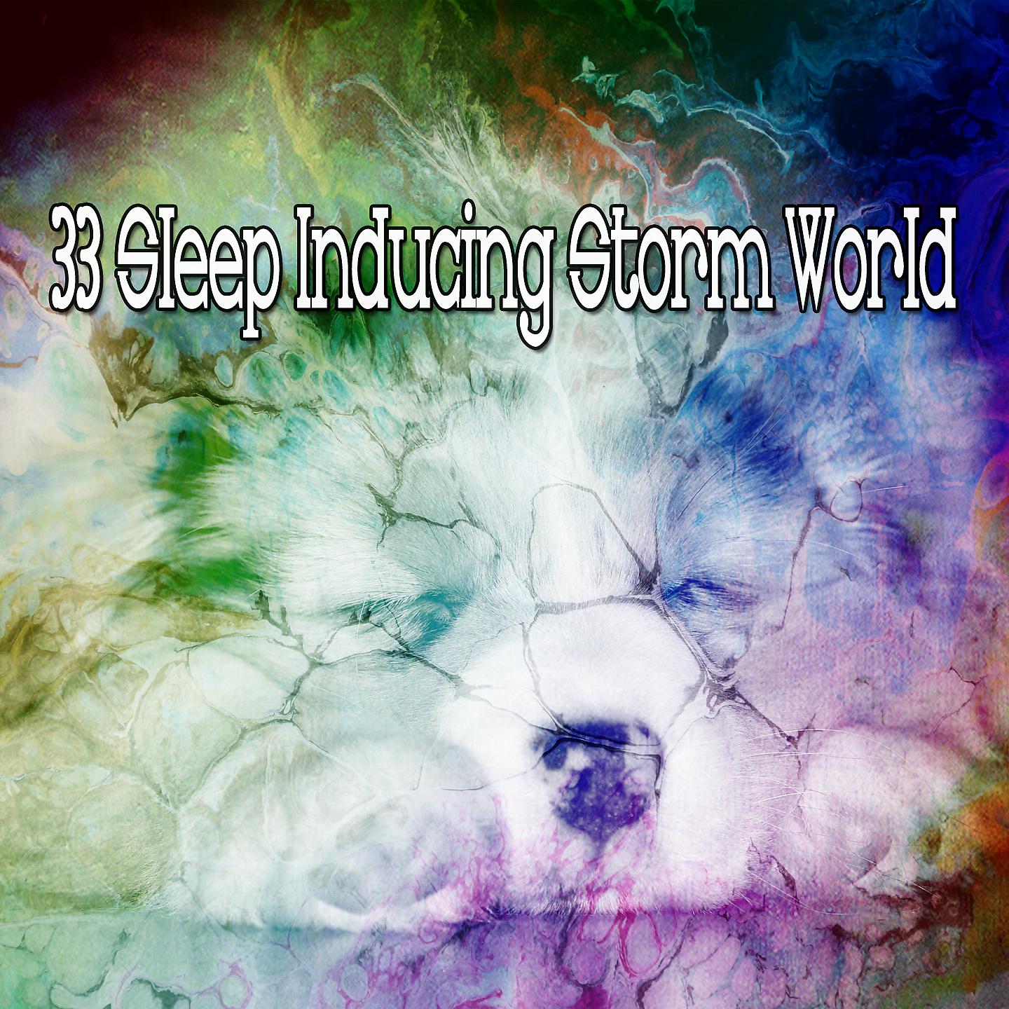 Постер альбома 33 Штормовой мир, вызывающий сон