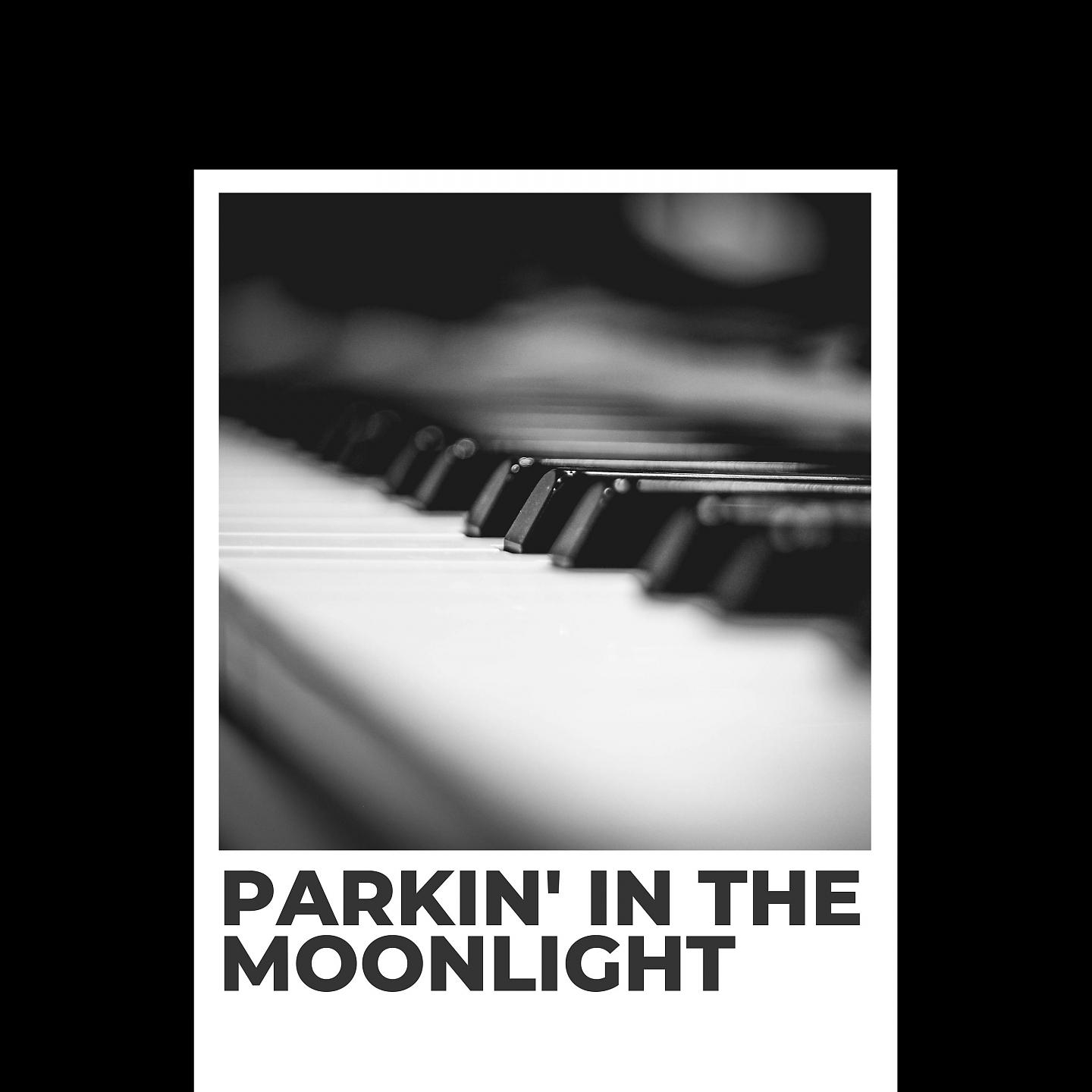 Постер альбома Parkin' In the Moonlight