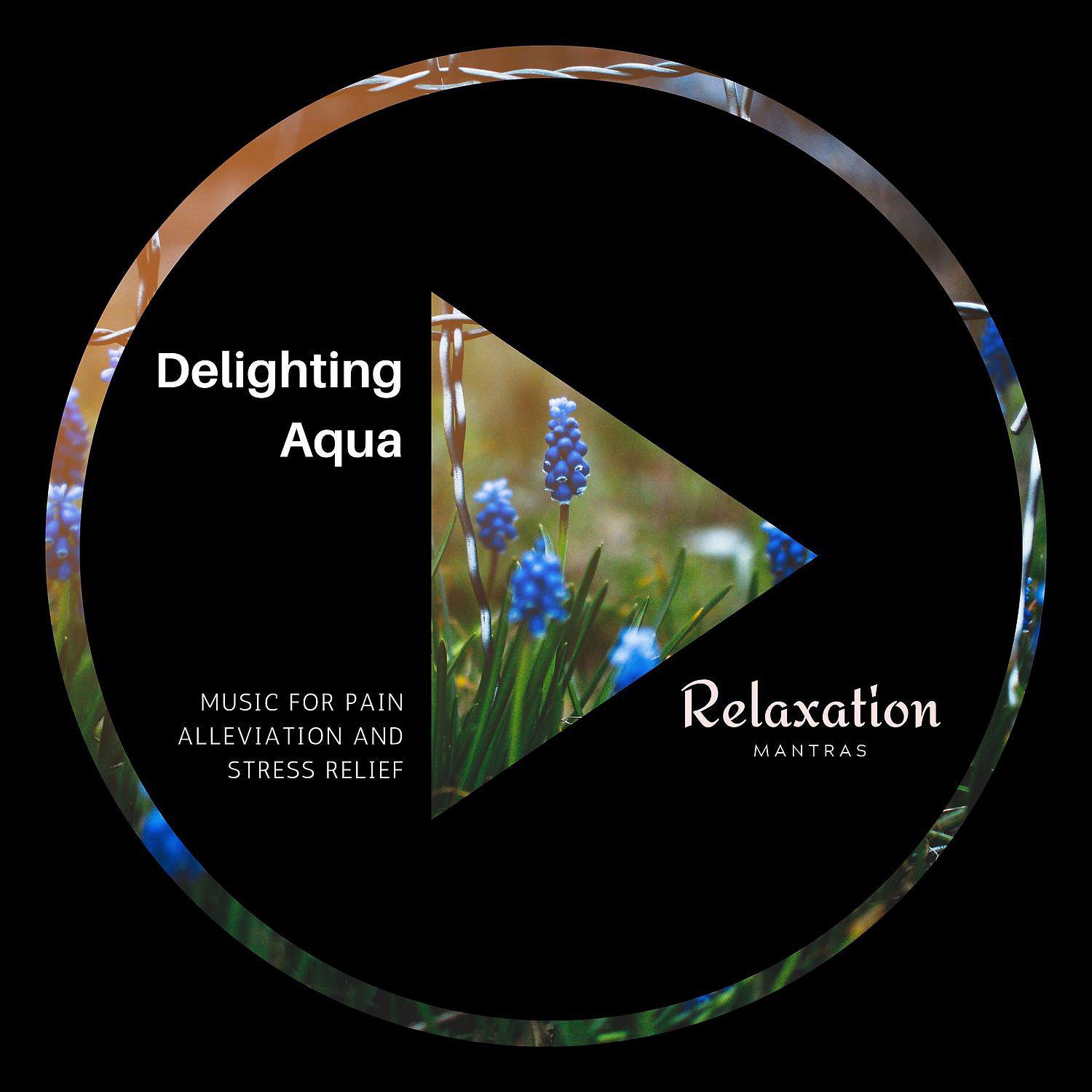 Постер альбома Delighting Aqua - Music for Pain Alleviation and Stress Relief