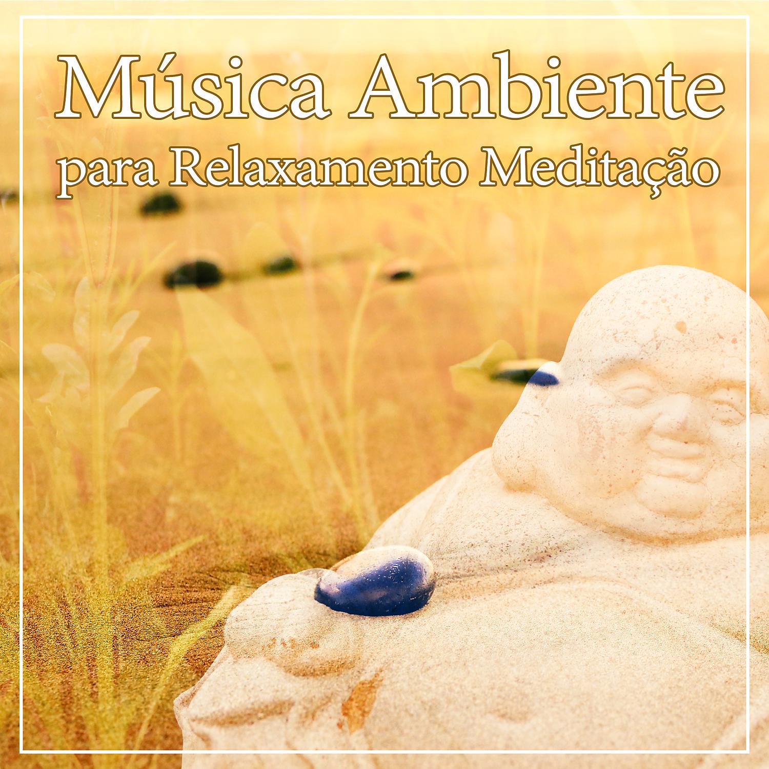 Постер альбома Música Ambiente para Relaxamento Meditação - Música para Dormir, Som do Oceano para a Massagem e Meditação, Livro de Leitura
