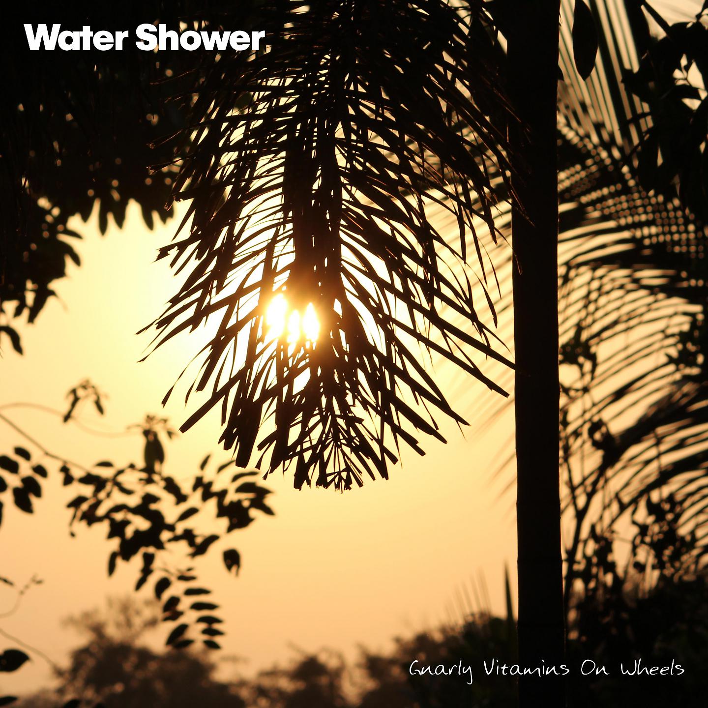 Постер альбома Water Shower