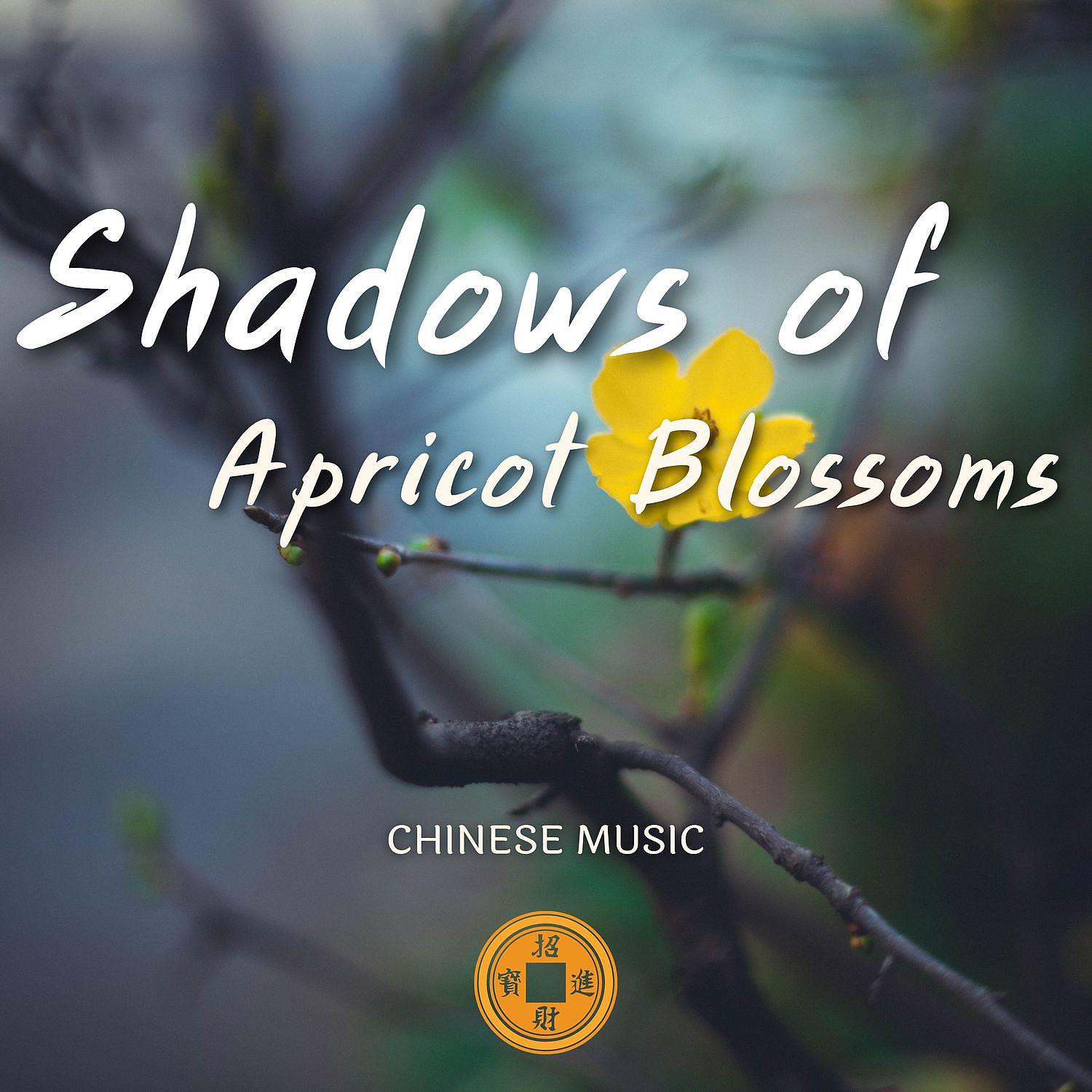 Постер альбома Shadows of Apricot Blossoms, Chinese Music