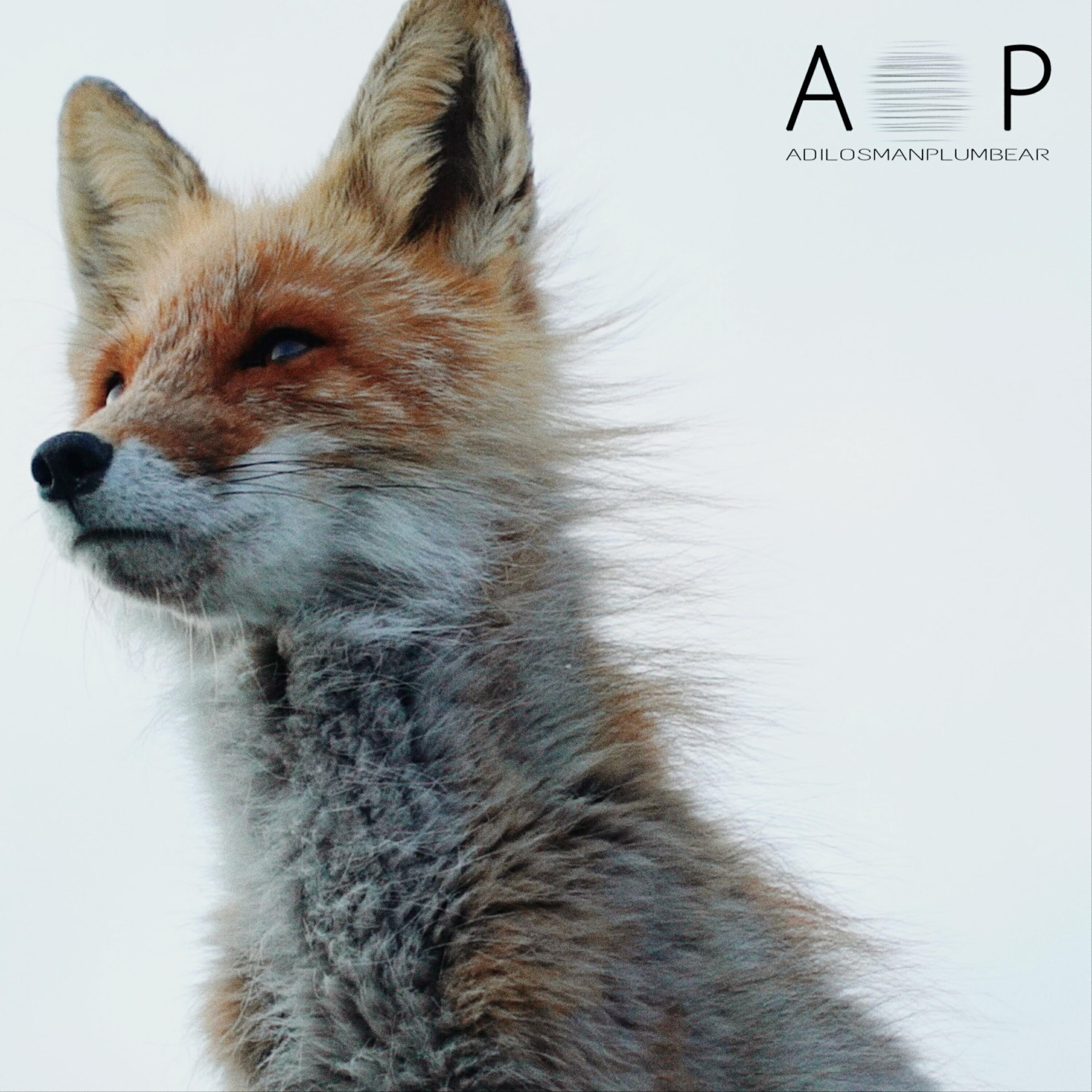 Adil Osman - Deep