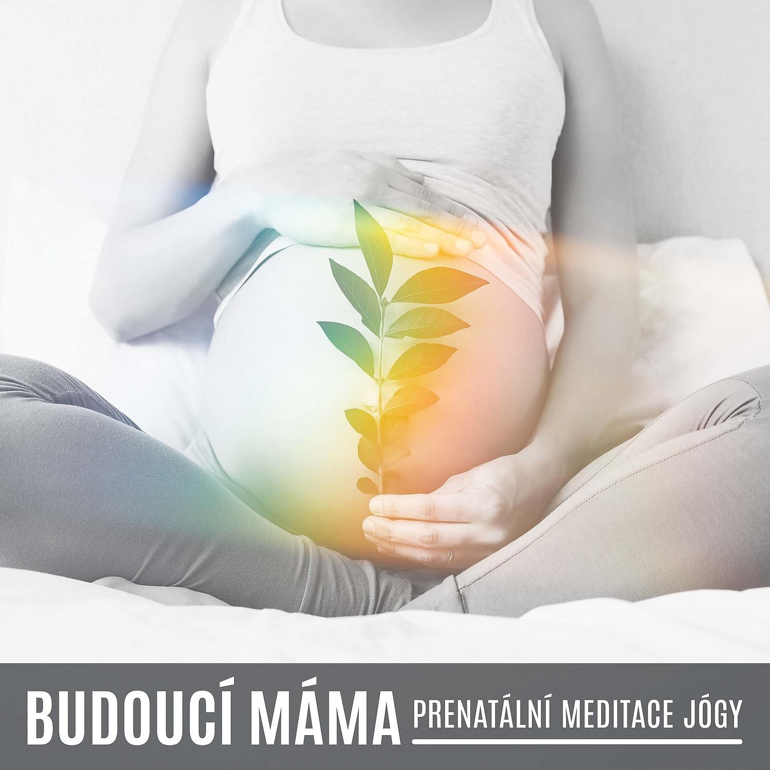 Постер альбома Budoucí Máma: Prenatální Meditace Jogy