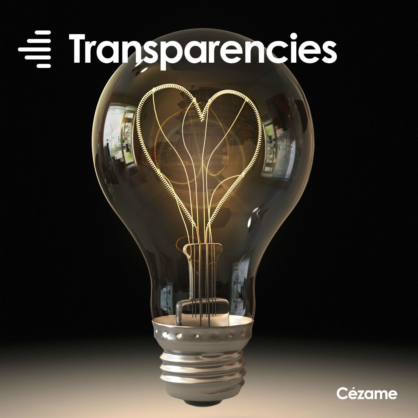 Постер альбома Transparencies