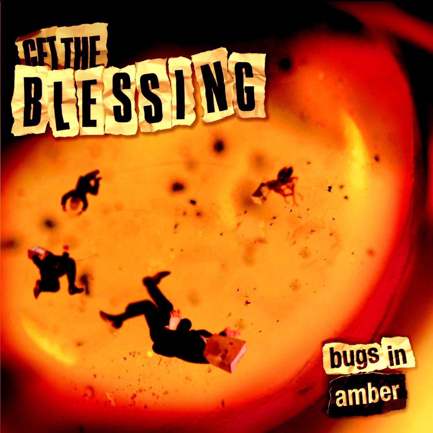Постер альбома Bugs in Amber