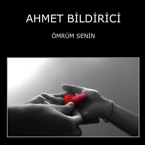 Постер альбома Ömrüm Seni