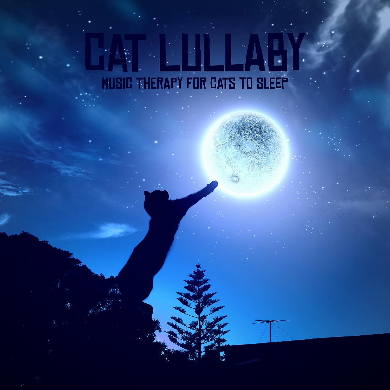 Постер альбома Cat Lullaby - Music Therapy for Cats to Sleep, Healing Music with Nature Sounds