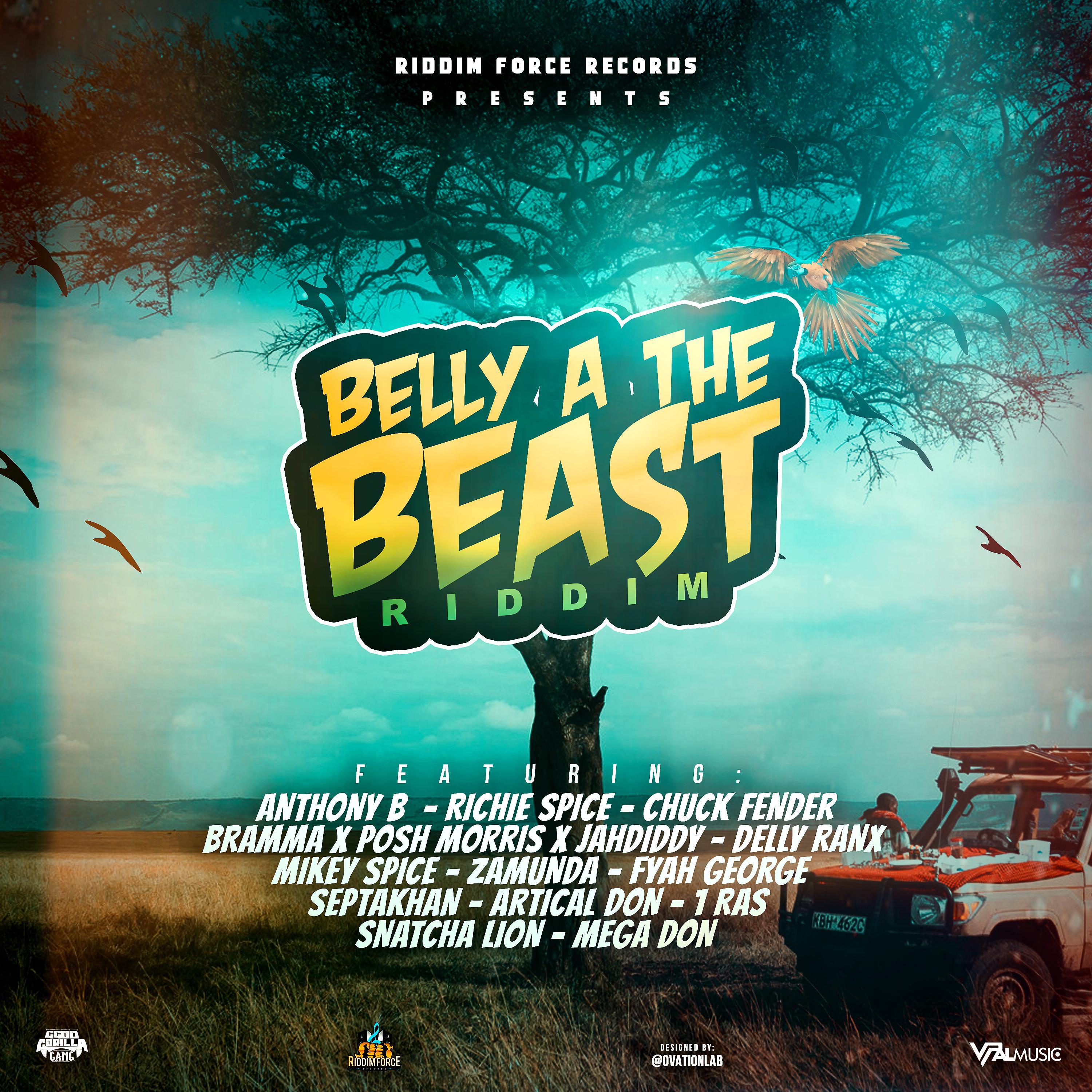 Постер альбома Belly a the Beast Riddim