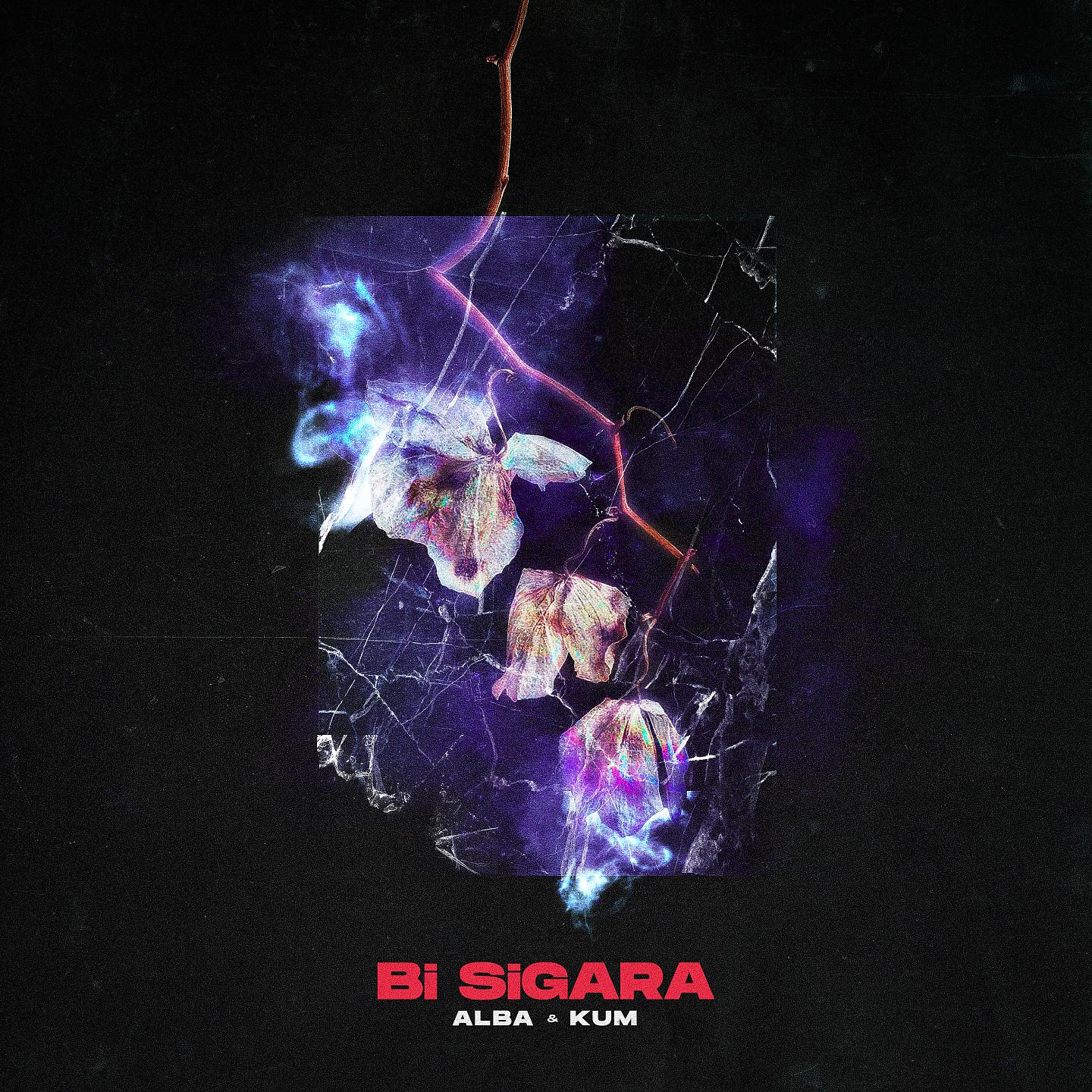Постер альбома Bi Sigara