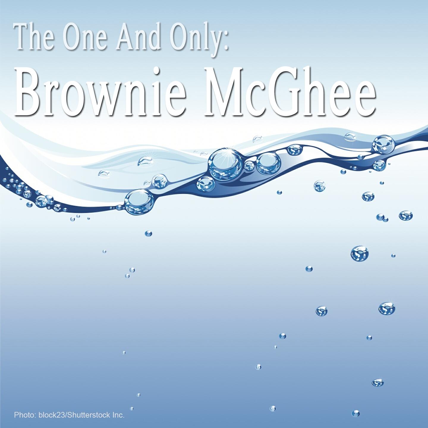 Brownie McGhee - Deep Sea Diver