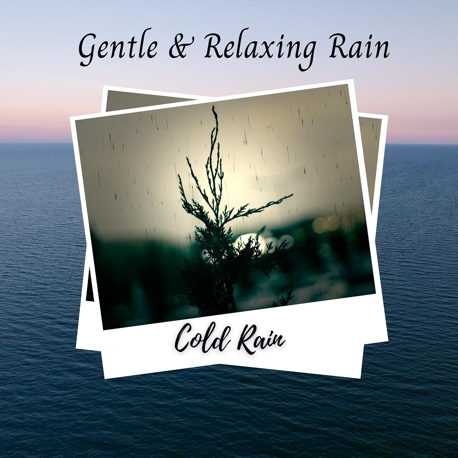 Постер альбома Cold Rain: Gentle & Relaxing Rain